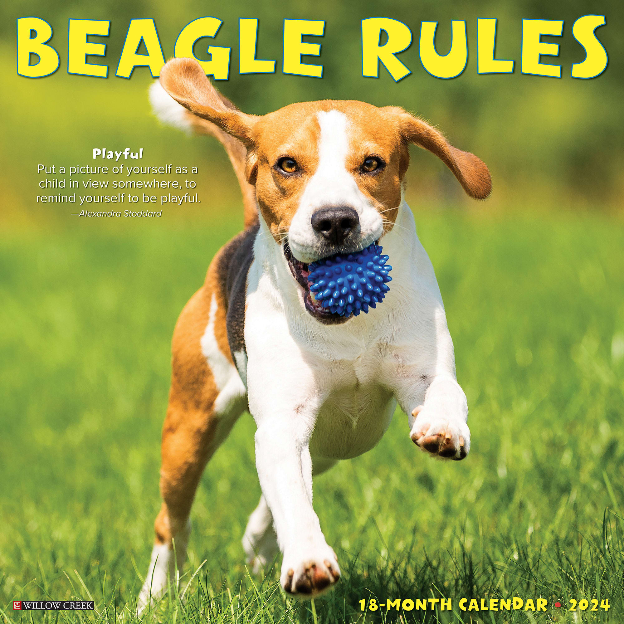 Willow Creek Press Beagle Rules 2024 Wall Calendar, 12" L X 12" W