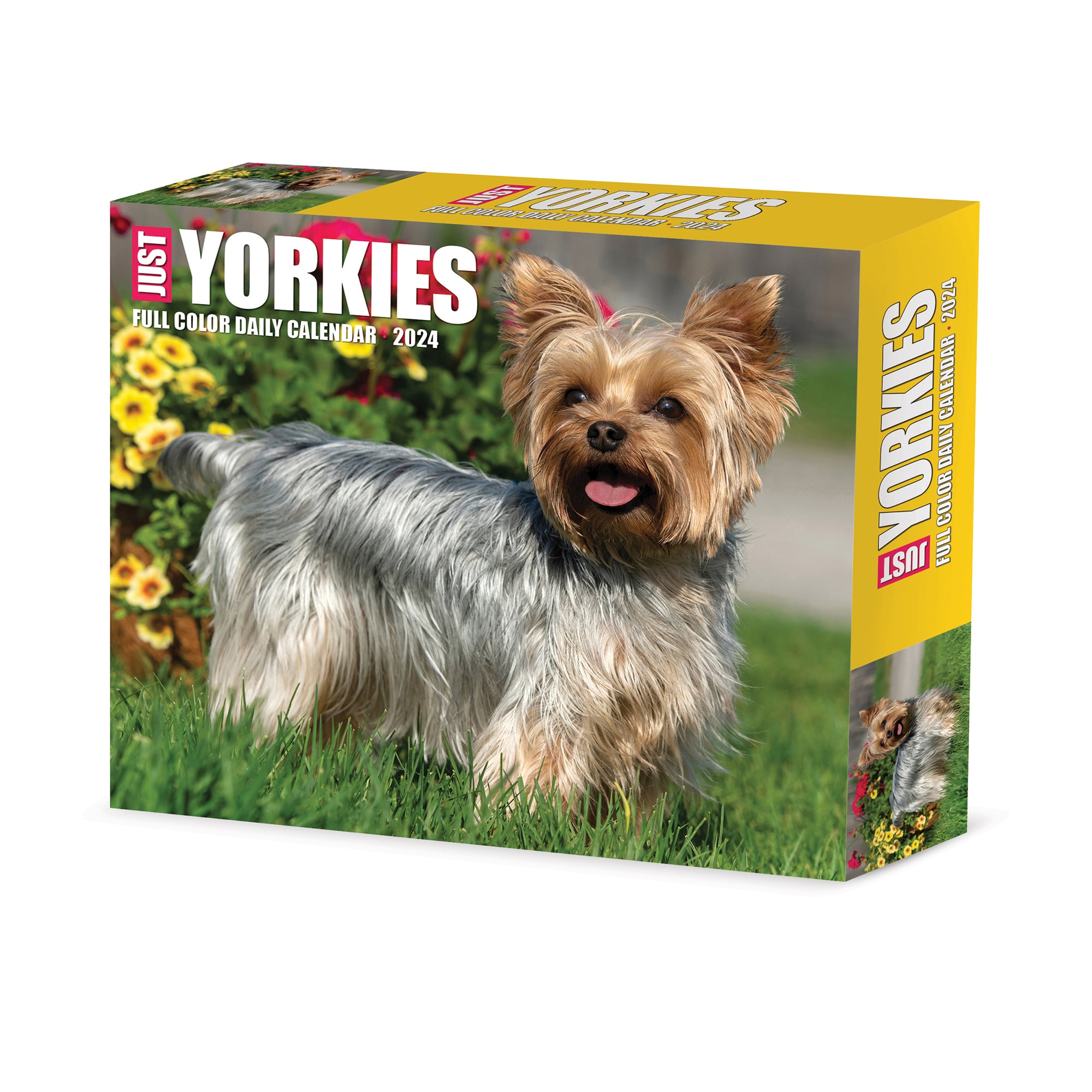 Willow Creek Press Yorkies 2024 Box Calendar 6 2 L X 5 4 W Large   3861439 Center 1