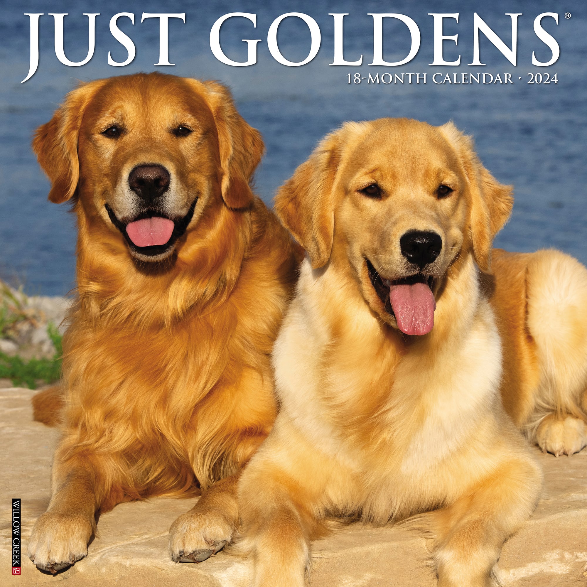 Willow Creek Press Just Goldens 2024 Wall Calendar, 12" L X 12" W