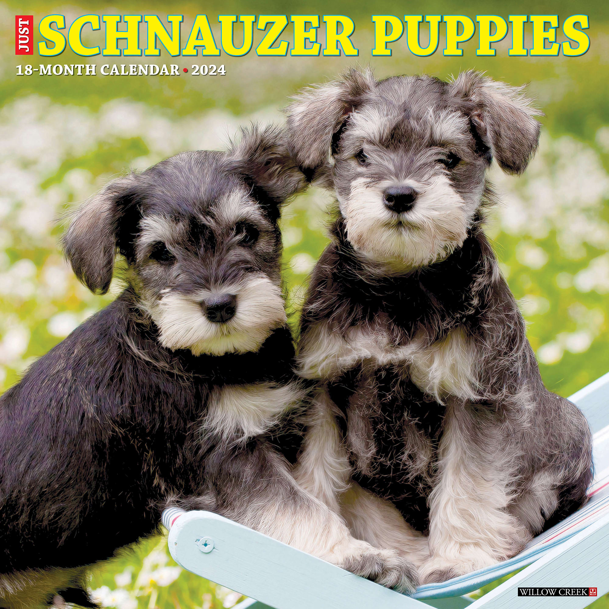 Willow Creek Press Just Schnauzer Puppies 2024 Wall Calendar, 12" L X 12" W, Large Petco
