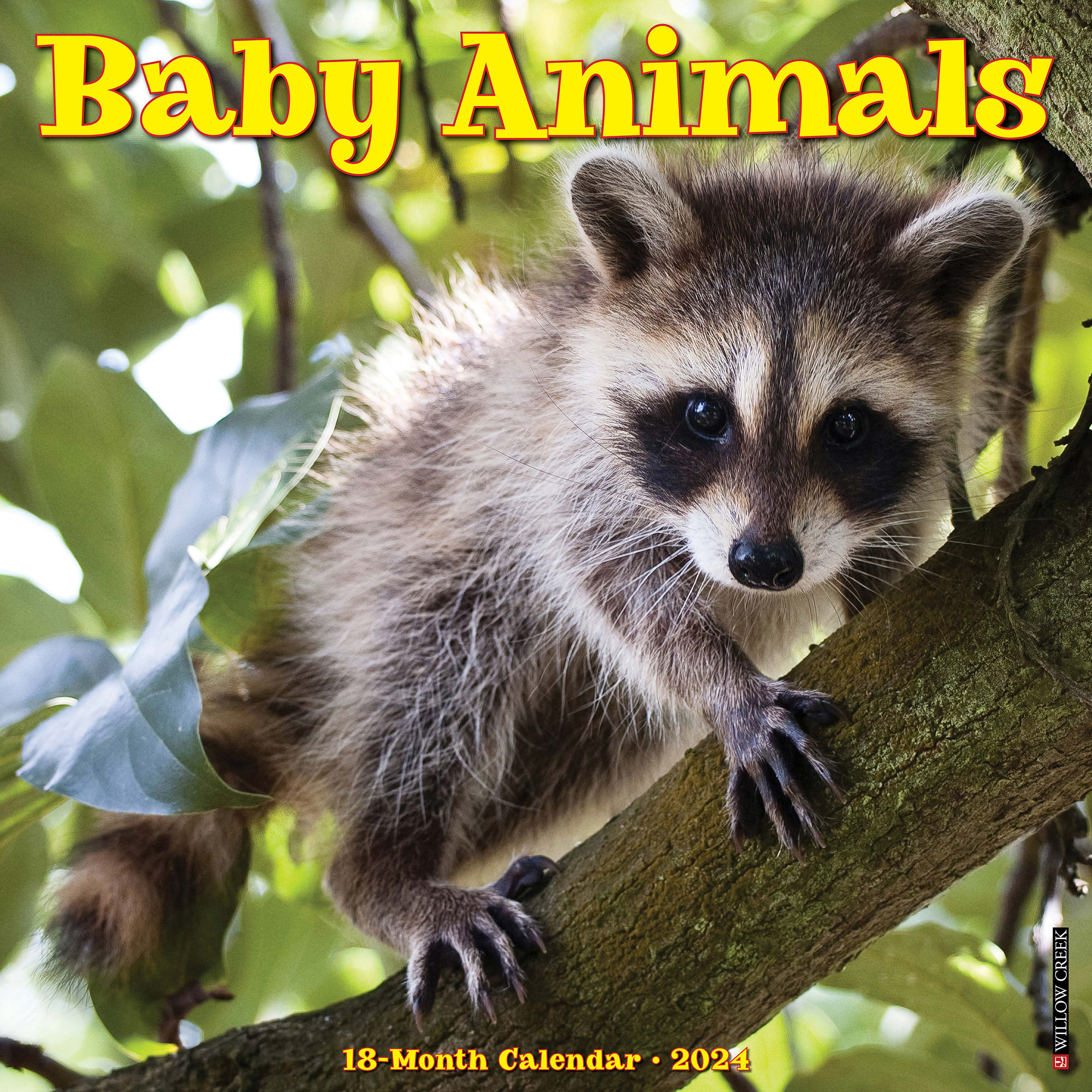 Willow Creek Press Baby Animals 2024 Wall Calendar, 12" L X 12" W