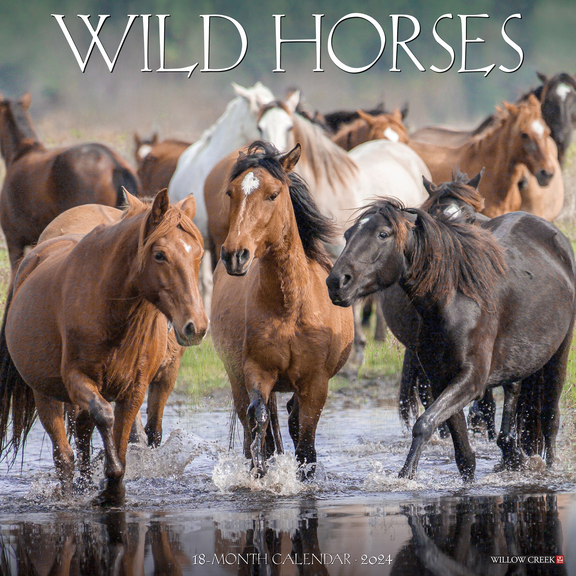 Willow Creek Press Wild Horses 2024 Wall Calendar 12 L X 12 W Large   3861711 Center 1