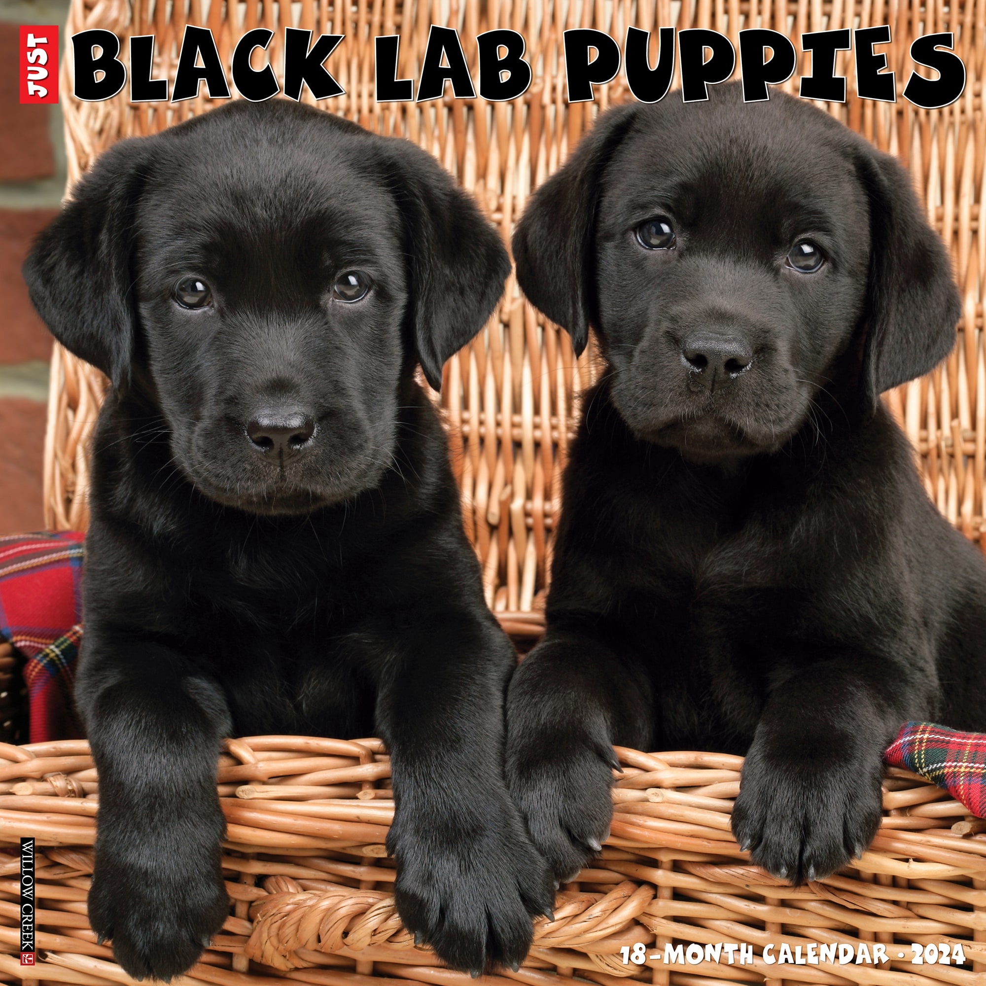 Willow Creek Press Just Black Lab Puppies 2024 Wall Calendar, 12" L X