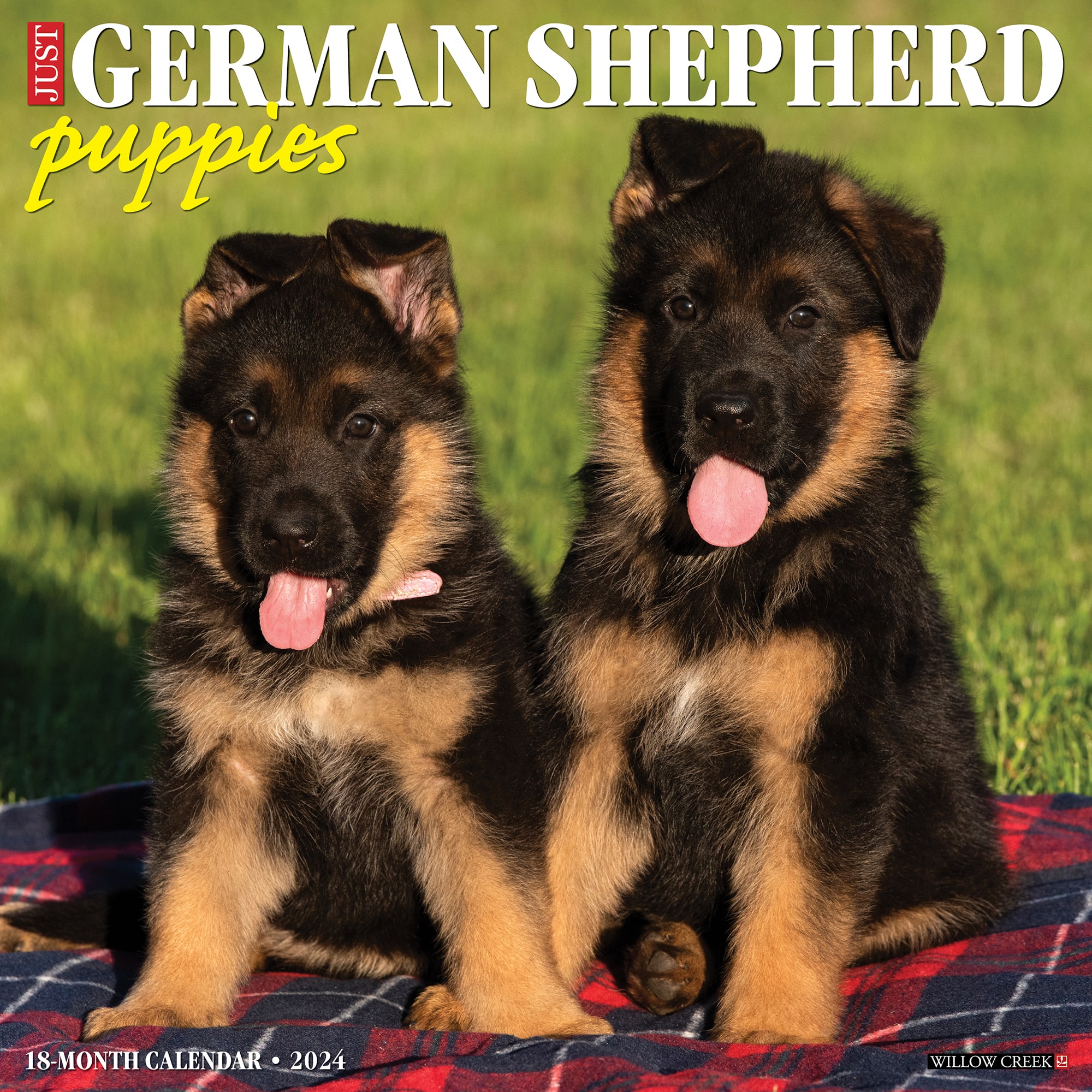 Willow Creek Press Just German Shepherd Puppies 2024 Wall Calendar 12   3861826 Center 1