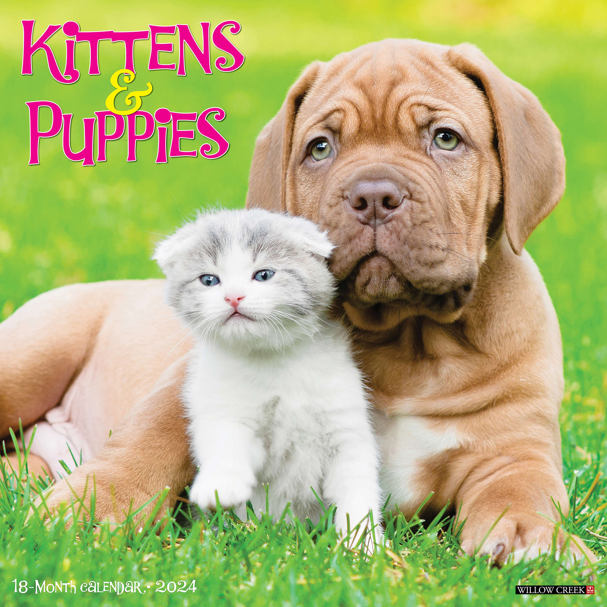 Willow Creek Press Kittens & Puppies 2024 Wall Calendar, 12" L X 12" W