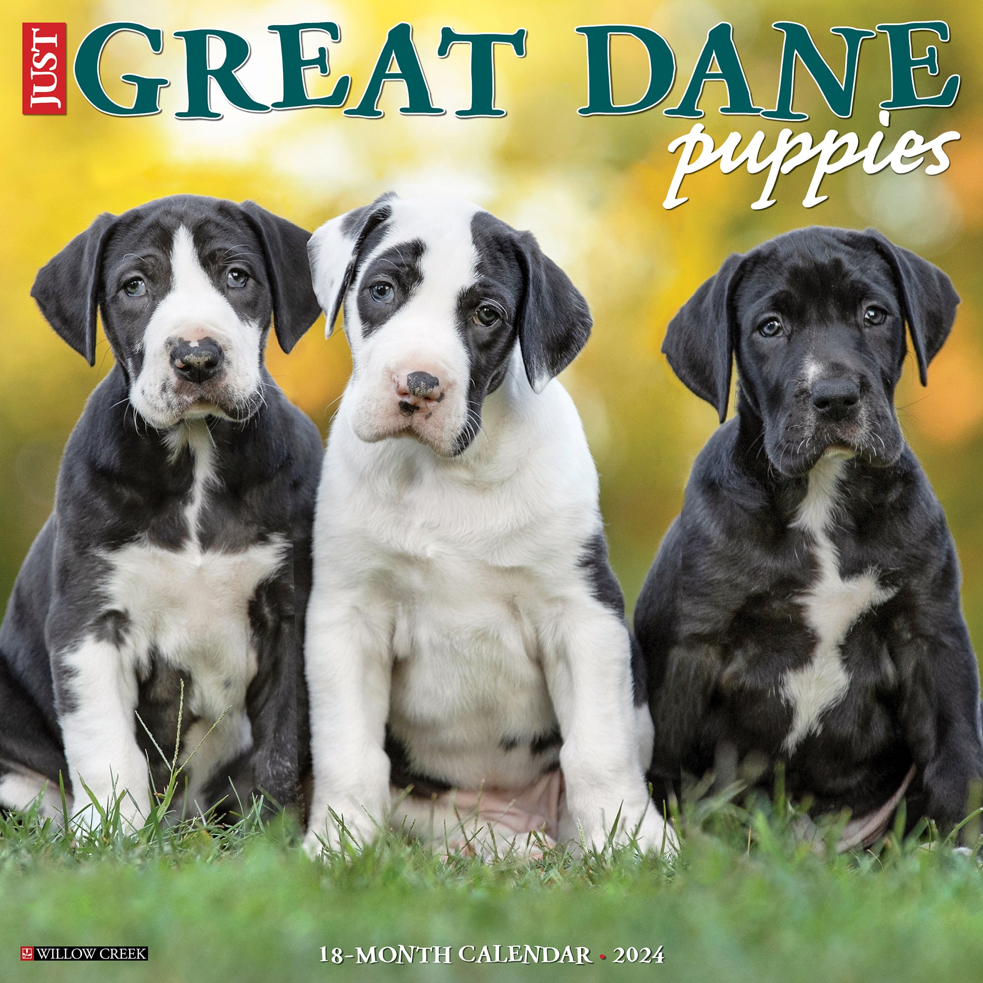 Willow Creek Press Just Great Dane Puppies 2024 Wall Calendar 12 L X   3861957 Center 1