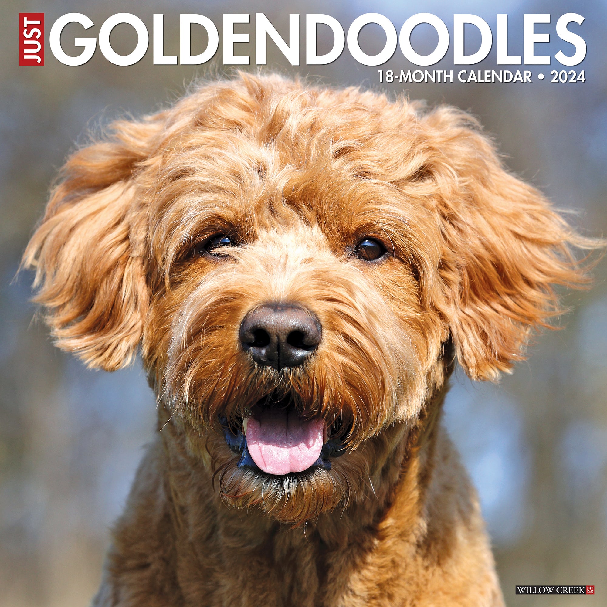 Willow Creek Press Just Goldendoodles 2024 Wall Calendar 12 L X 12 W   3861990 Center 1