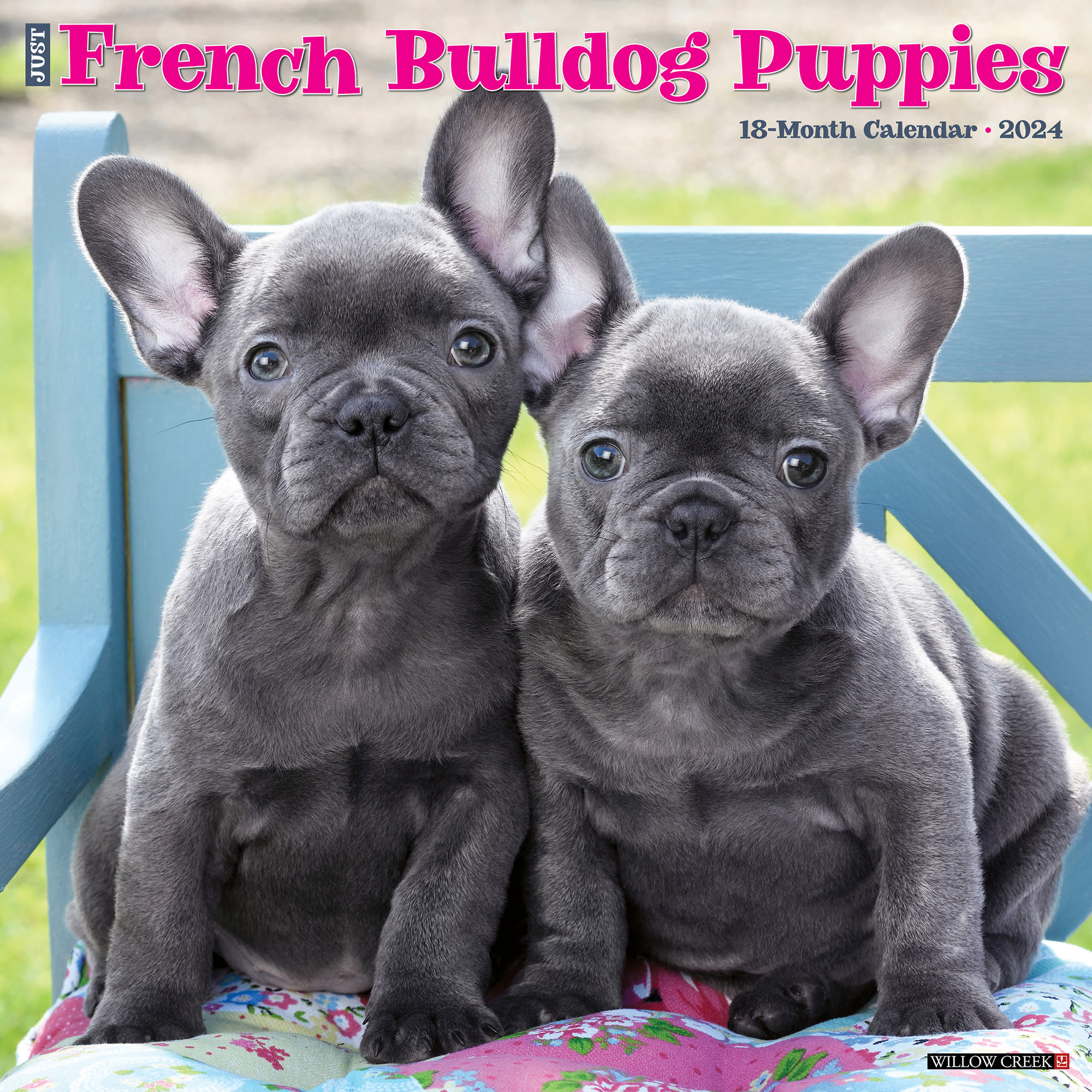 Willow Creek Press Just French Bulldog Puppies 2024 Wall Calendar 12   3862001 Center 1