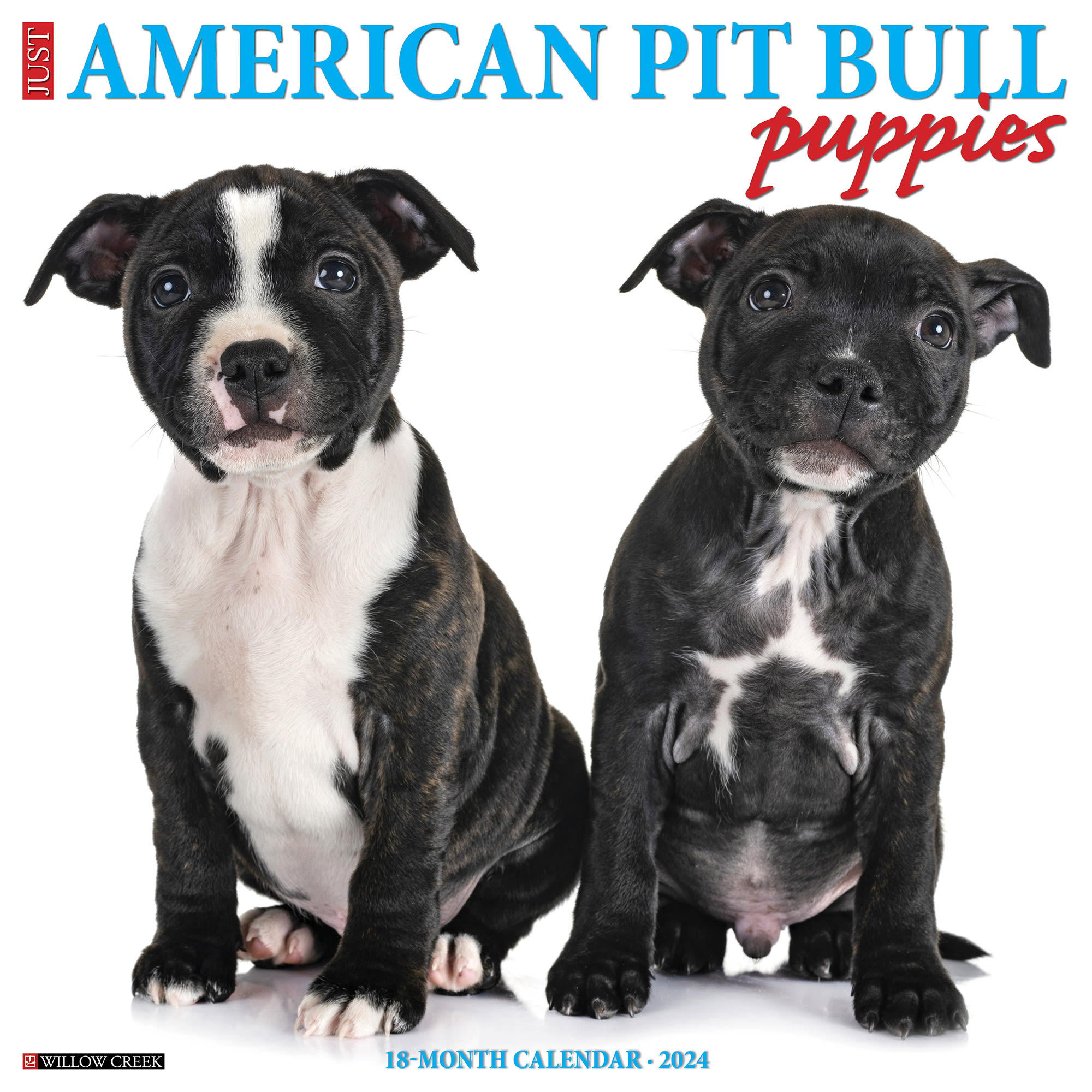 Willow Creek Press Just American Pit Bull Terrier Puppies 2024 Wall