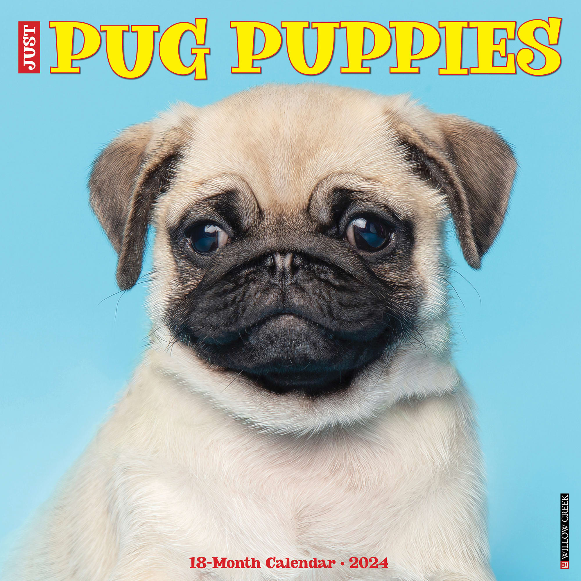 Willow Creek Press Just Pug Puppies 2024 Wall Calendar, 12" L X 12" W