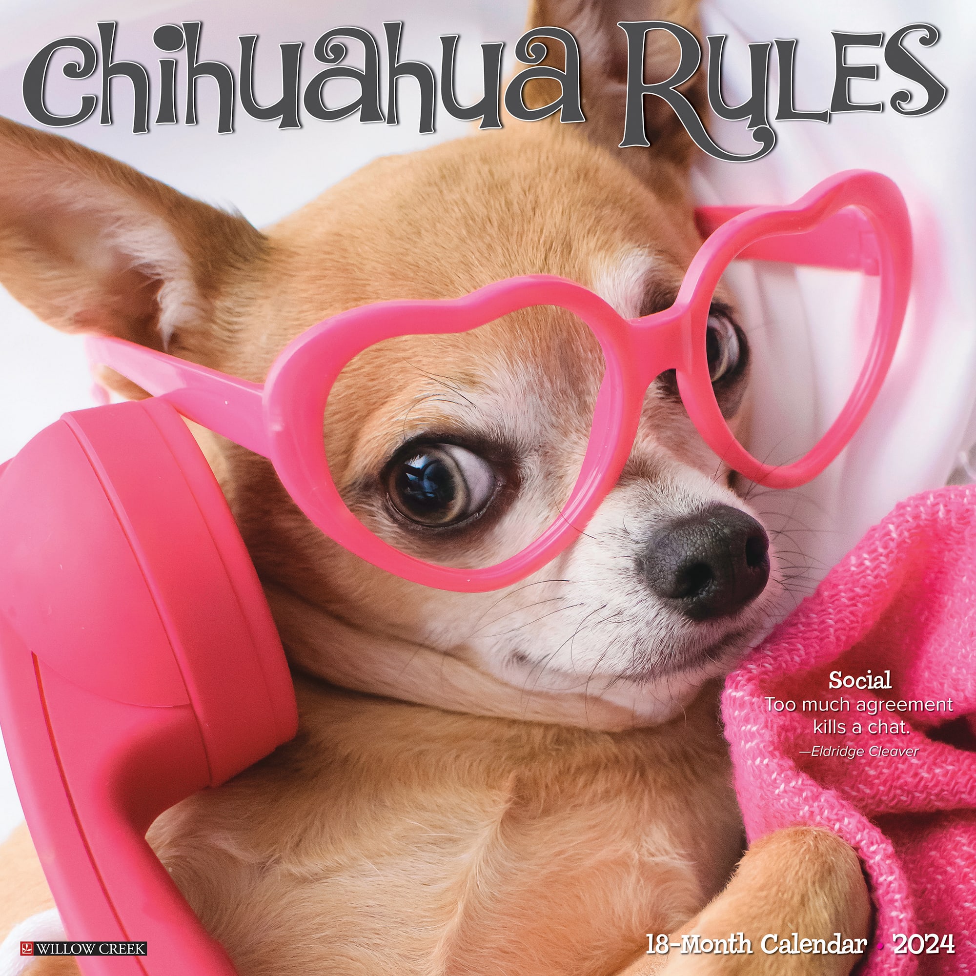 Willow Creek Press Chihuahua Rules 2024 Wall Calendar, 12" L X 12" W, Large Petco