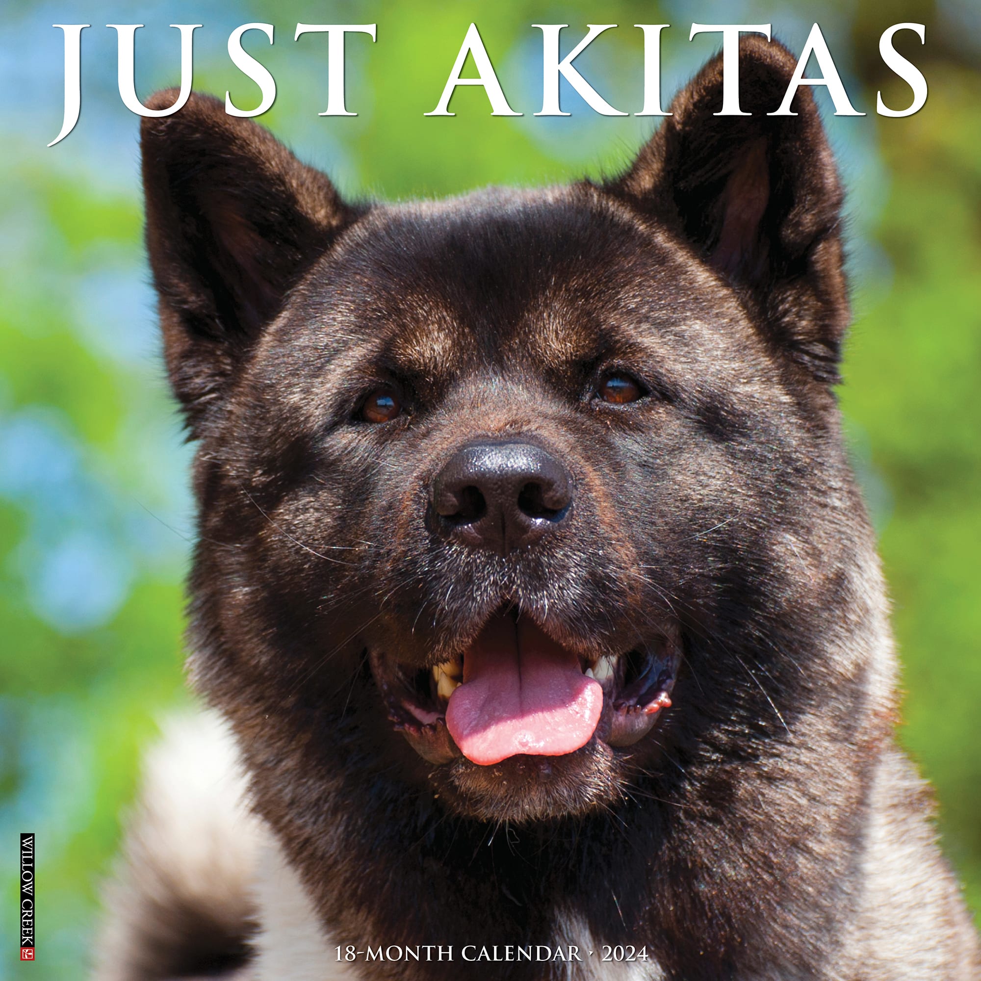 Willow Creek Press Just Akitas 2024 Wall Calendar, 12" L X 12" W, Large