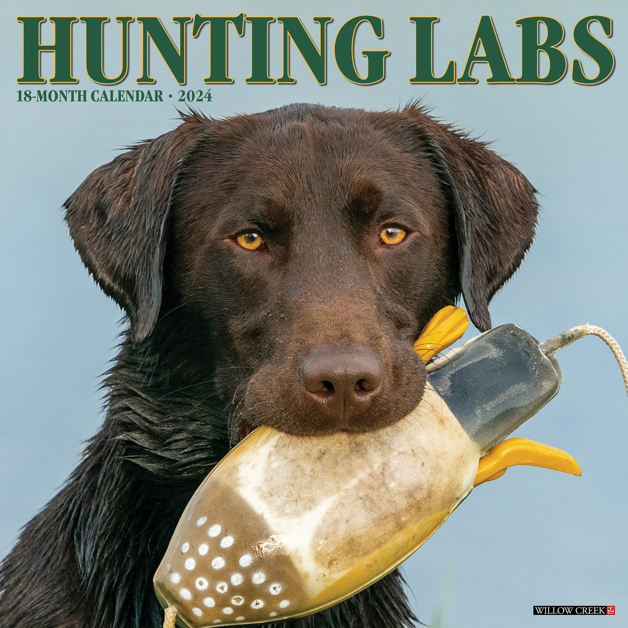 Willow Creek Press Hunting Labs 2024 Wall Calendar 12 L X 12 W   3862360 Center 1