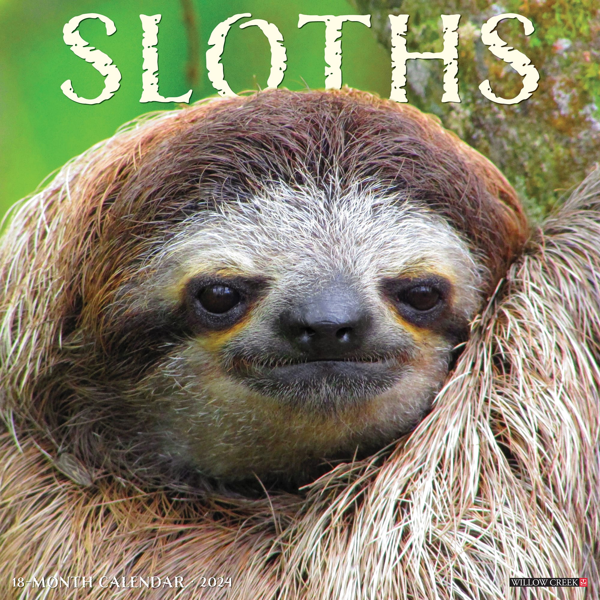 willow-creek-press-sloths-2024-wall-calendar-12-l-x-12-w-large-petco