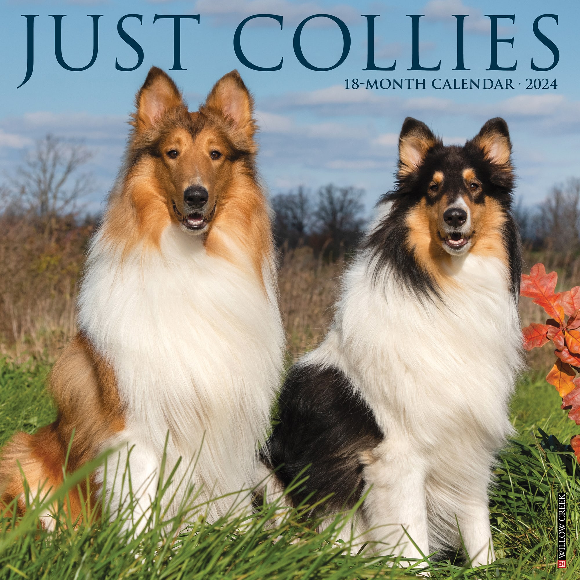 Willow Creek Press 2025 Collies Wall Calendar 12"x12"