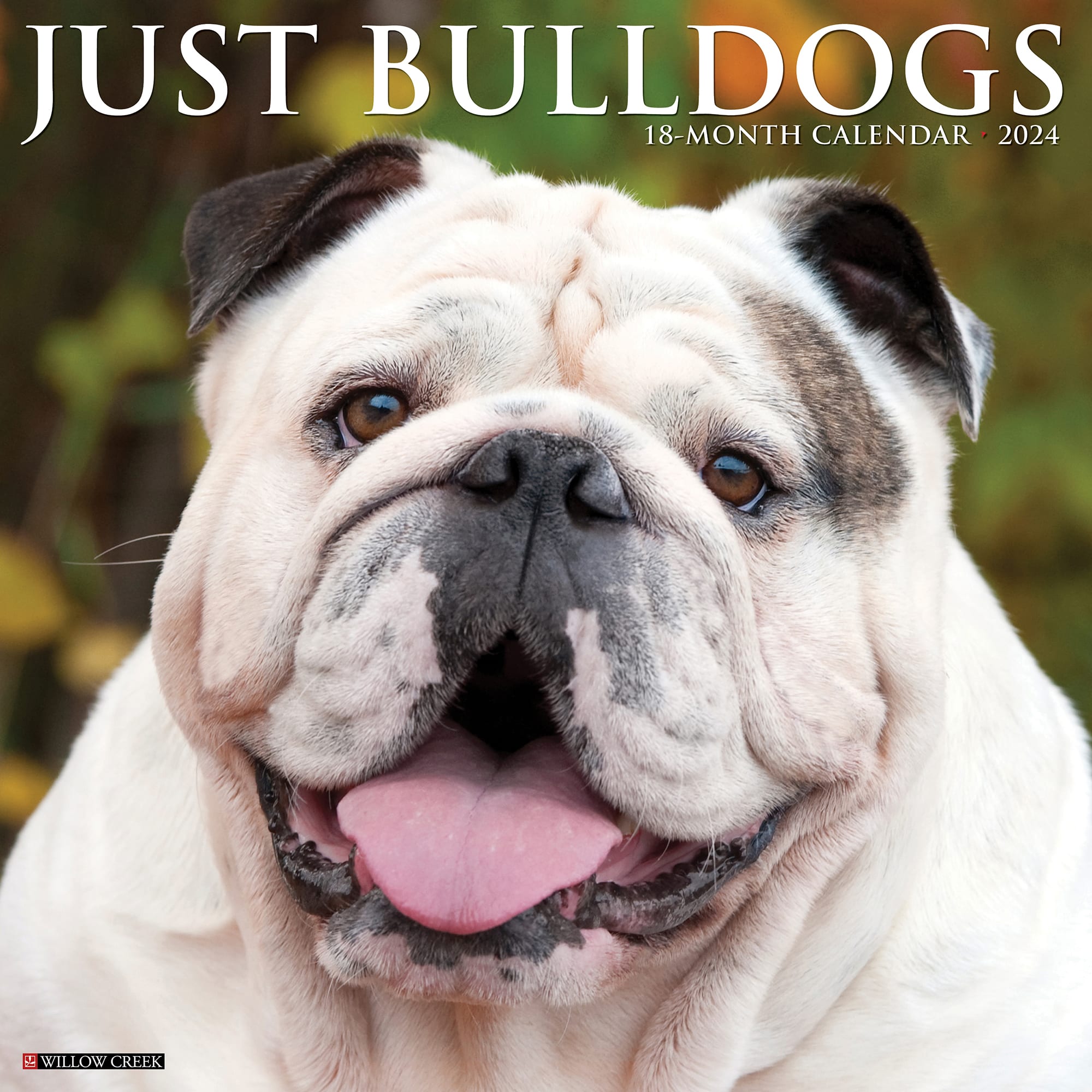 Willow Creek Bulldogs 2024 Wall Calendar 12x12   3862474 Center 1