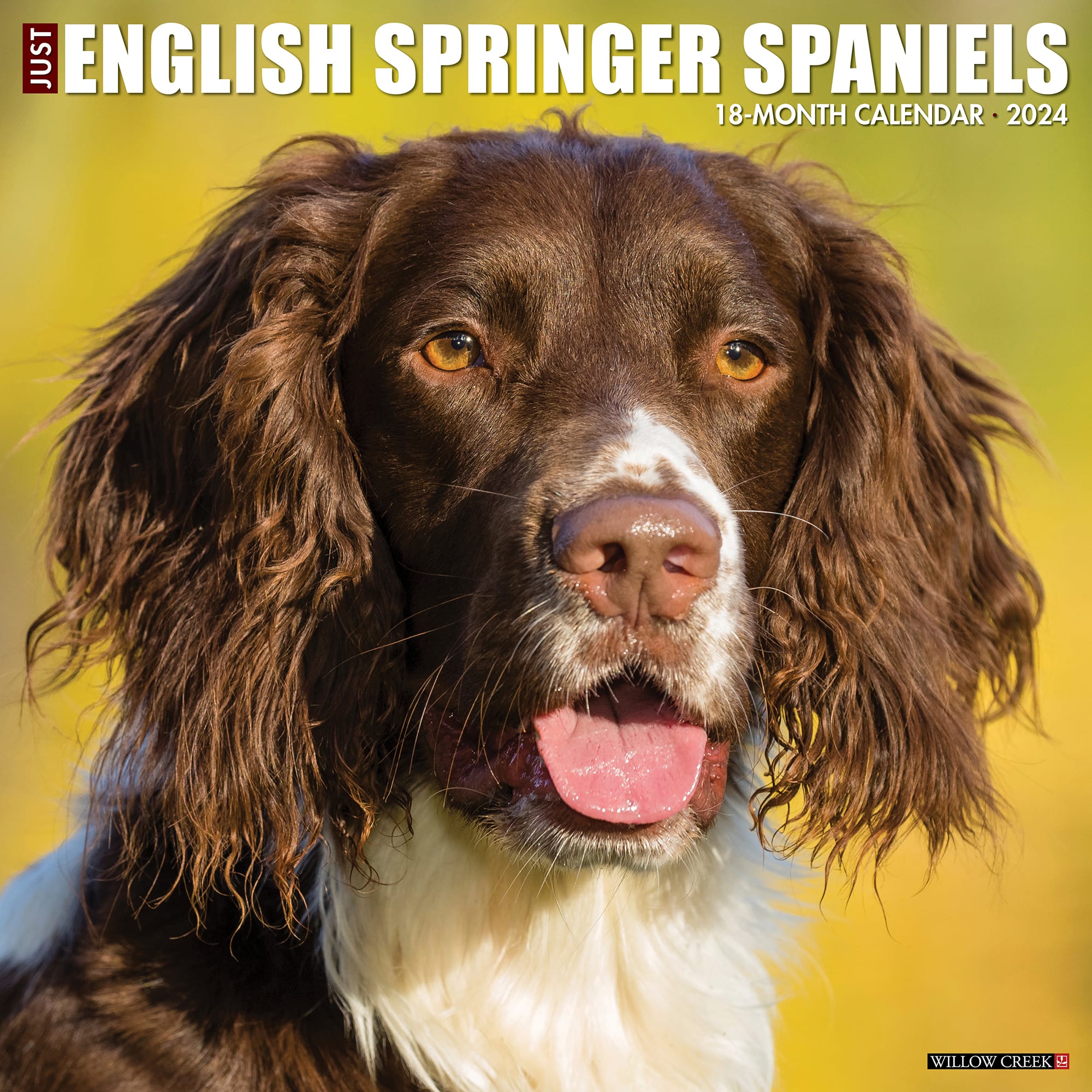 Willow Creek Press Just English Springer Spaniels 2024 Wall Calendar 