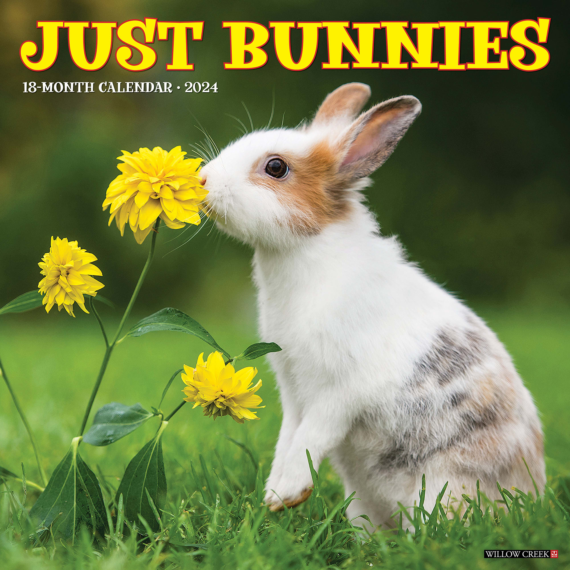 Willow Creek Press Just Bunnies 2024 Wall Calendar, 12" L X 12" W