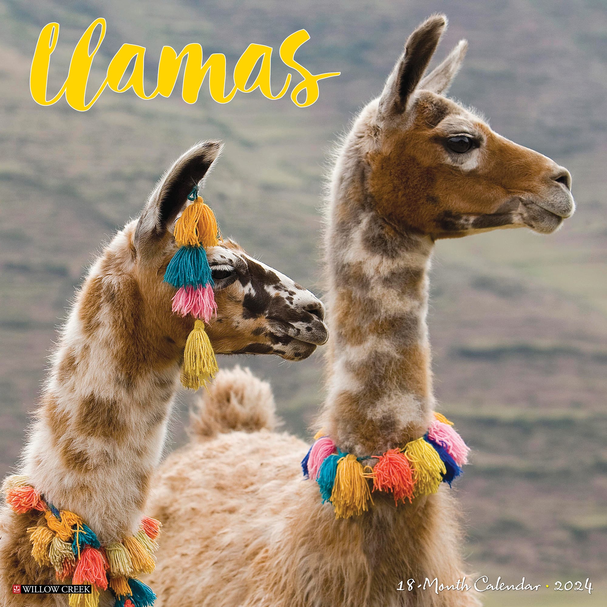 Willow Creek Press Llamas 2024 Wall Calendar, 12" L X 12" W, Large Petco