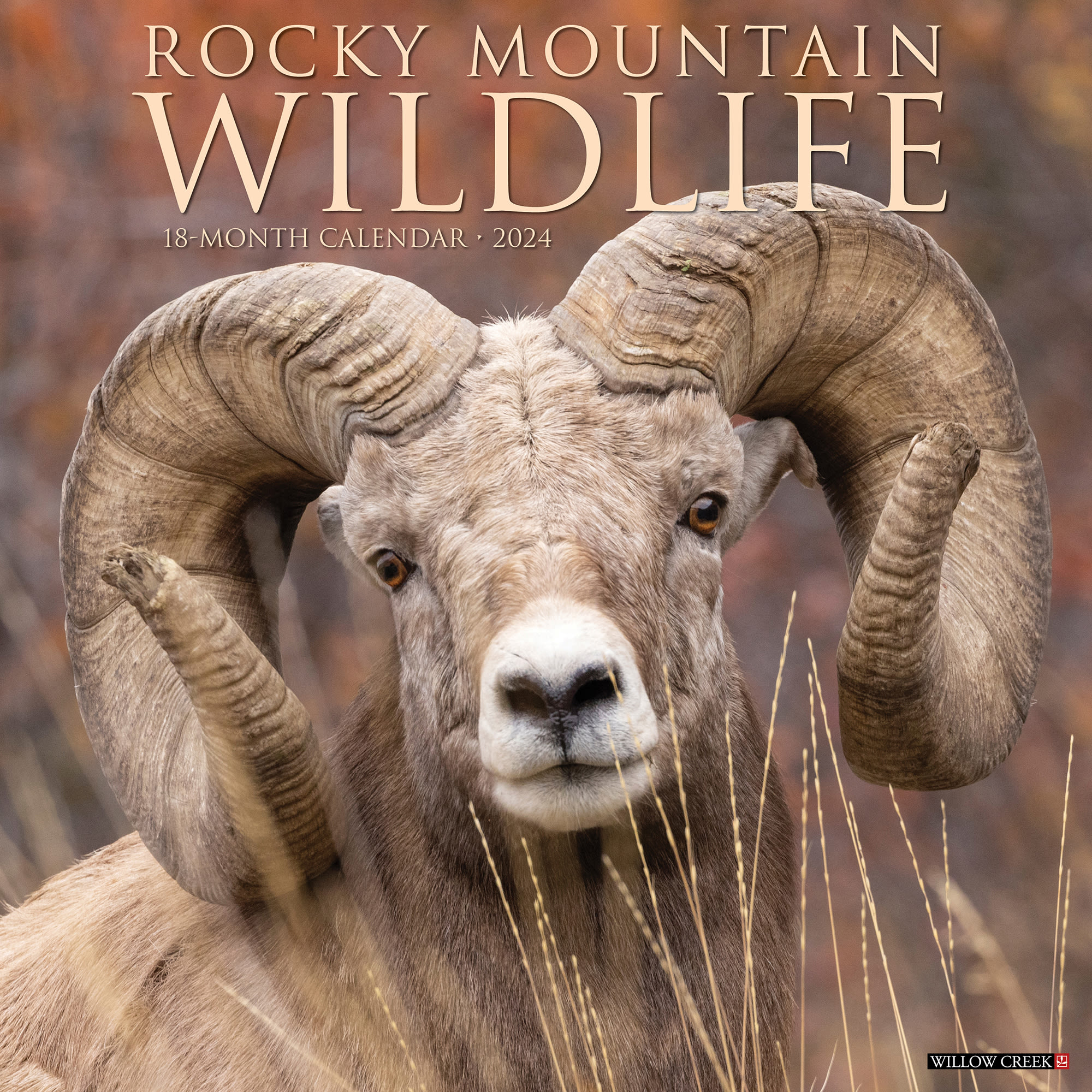 Willow Creek Press Rocky Mountain Wildlife 2024 Wall Calendar, 12" L X