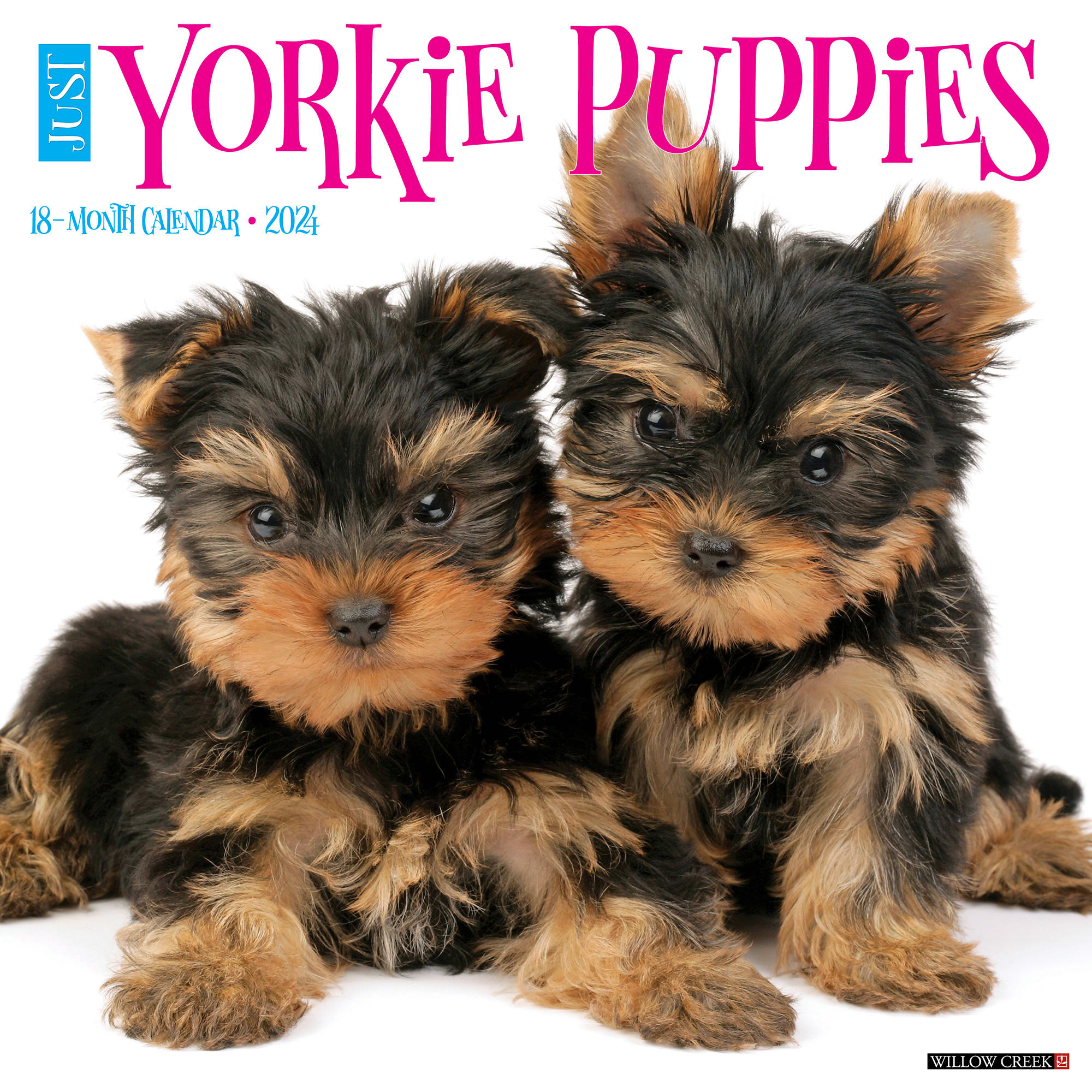 Willow Creek Press Just Yorkie Puppies 2024 Wall Calendar 12