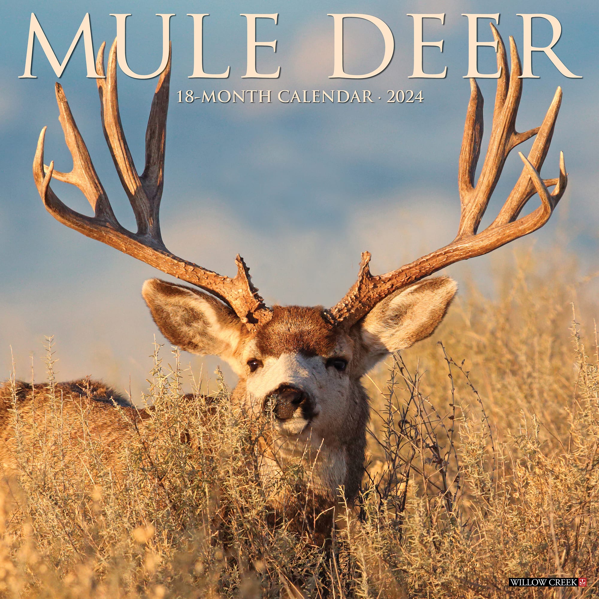 Willow Creek Press Mule Deer 2024 Wall Calendar 12 L X 12 W Large   3862933 Center 1