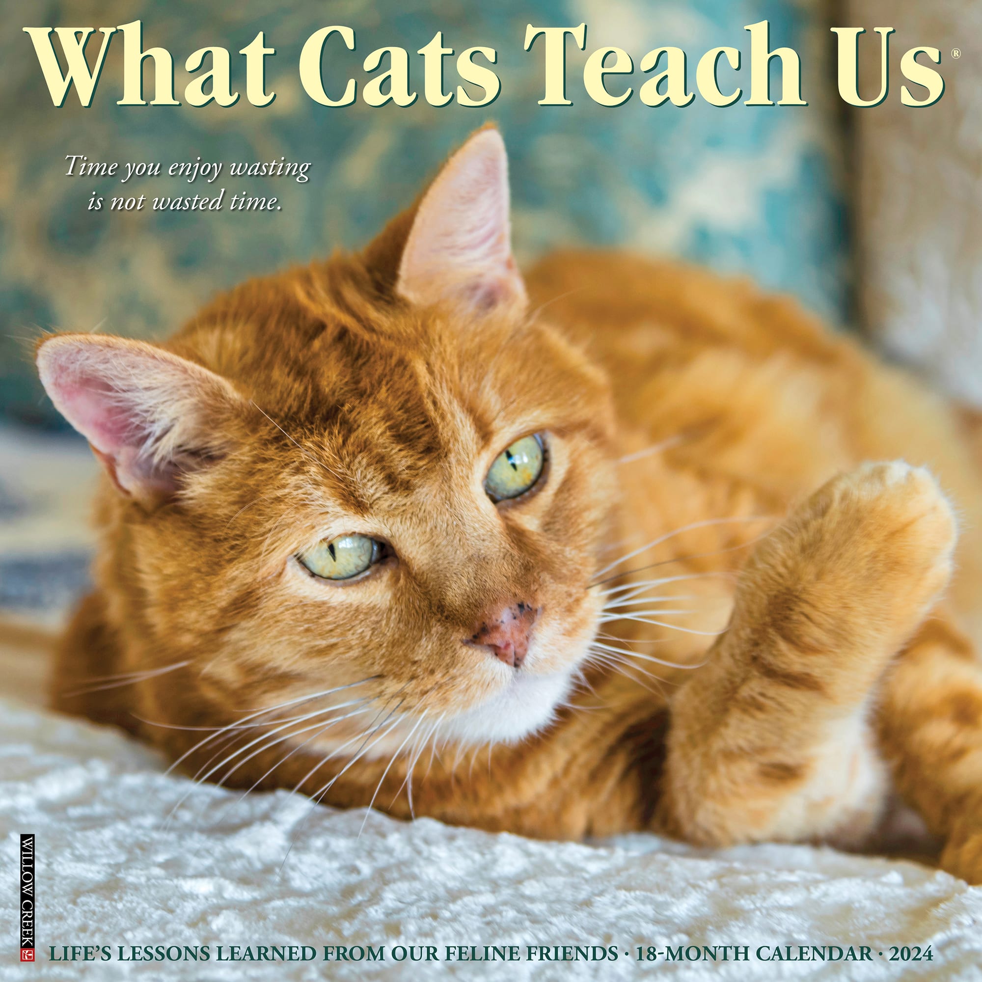 Willow Creek Press What Cats Teach Us 2024 Wall Calendar, 12" L X 12" W