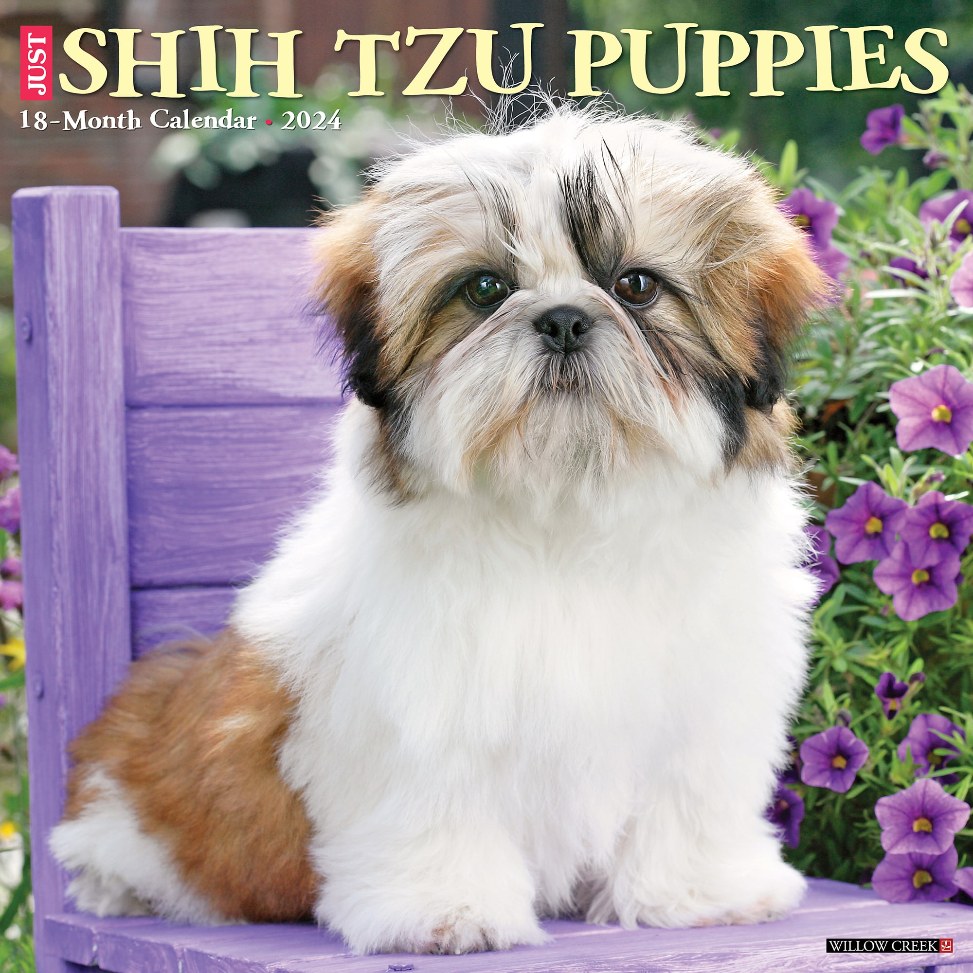 Willow Creek Press Just Shih Tzu Puppies 2024 Wall Calendar 12 L X 12   3863101 Center 1