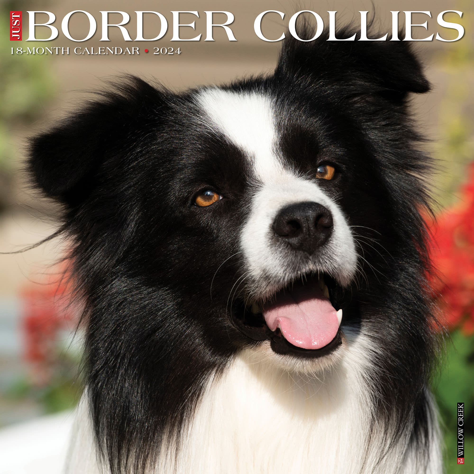 Just Border Collie Puppies 2023 Wall by Willow Creek Press