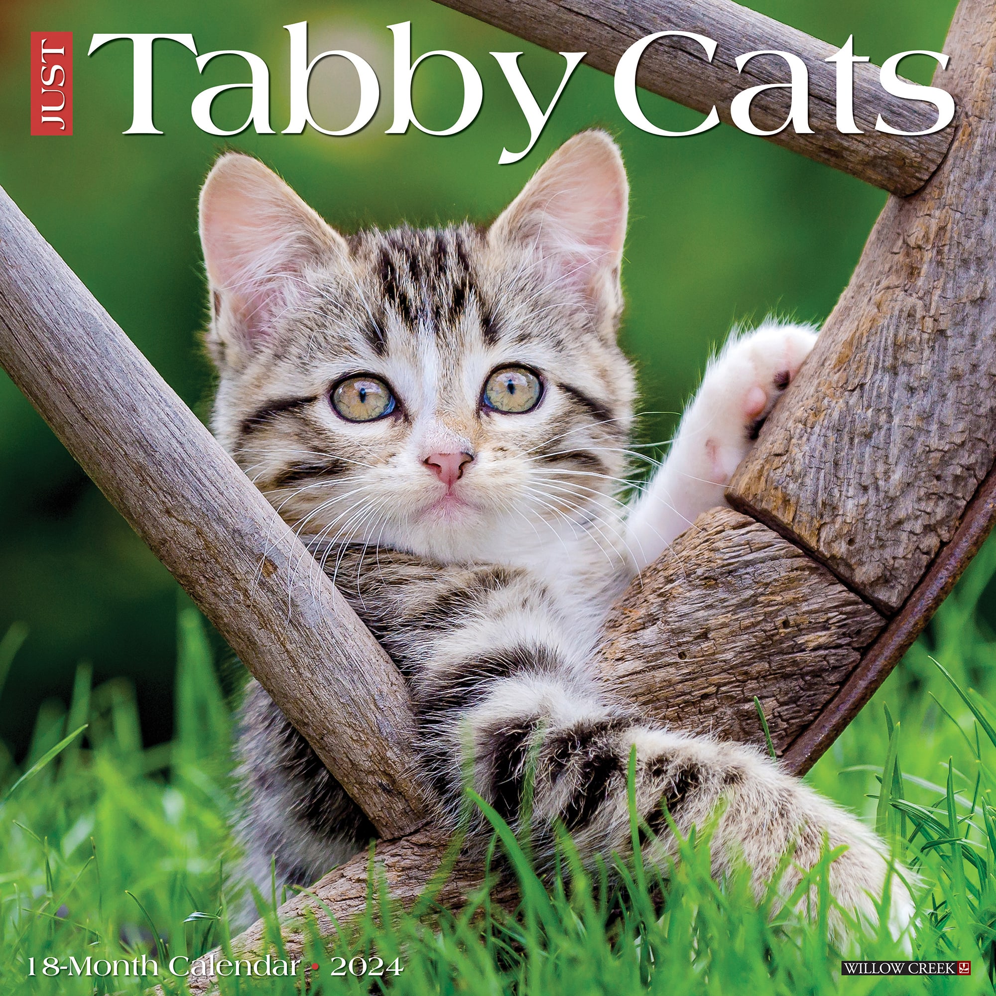 Willow Creek Press Just Tabby Cats 2024 Wall Calendar, 12" L X 12" W