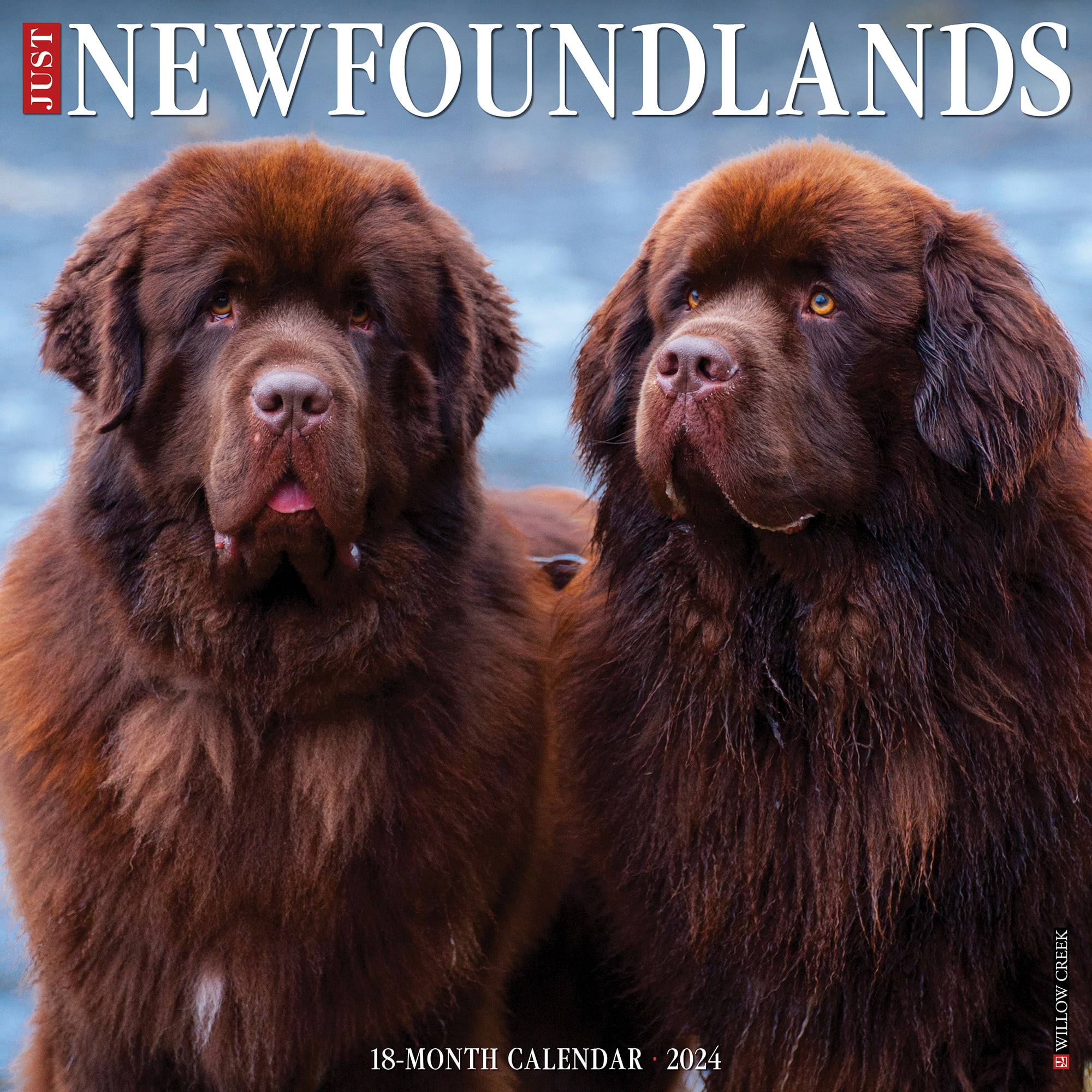 Willow Creek Press Just Newfoundlands 2024 Wall Calendar 12 L X 12 W   3863397 Center 1