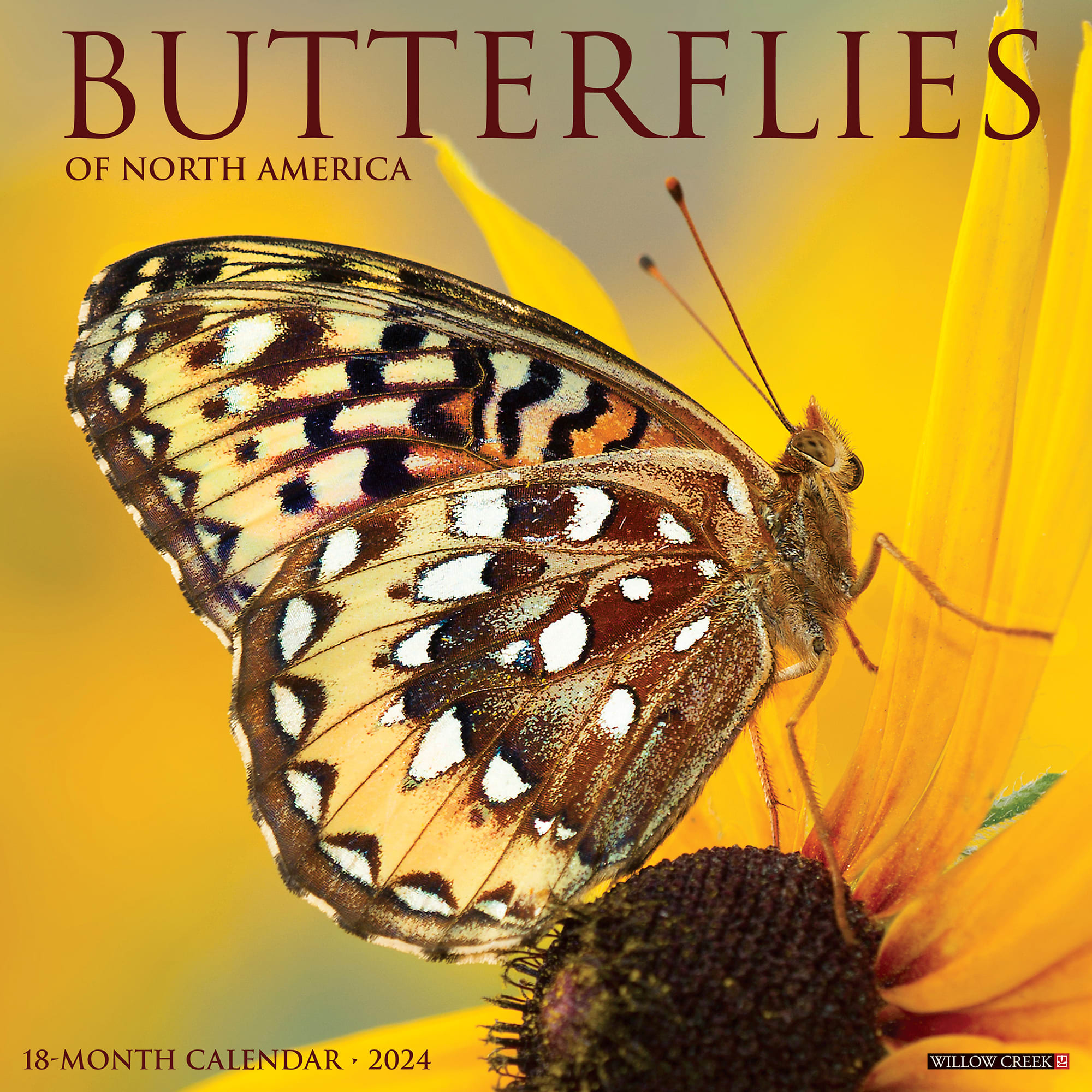 Willow Creek Press Butterflies 2024 Wall Calendar, 12" L X 12" W, Large