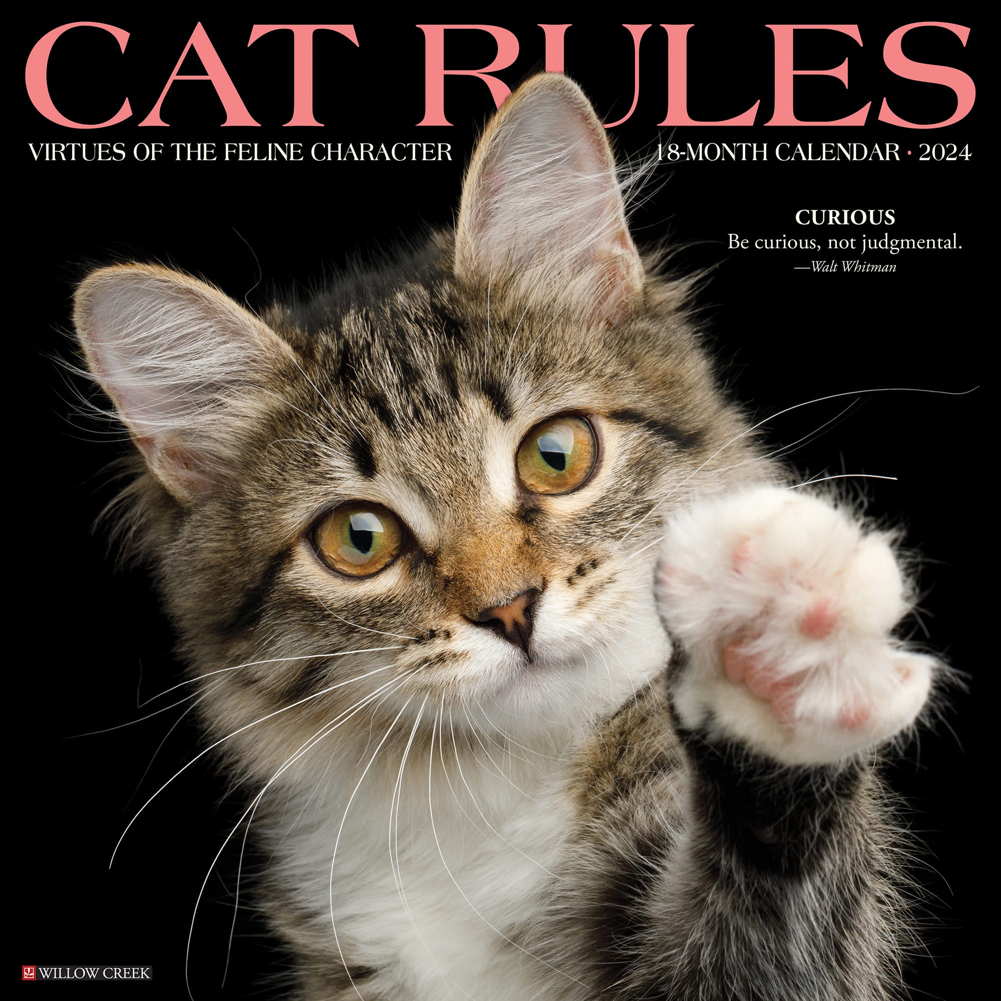 Willow Creek Press Cat Rules 2024 Wall Calendar, 12" L X 12" W, Large