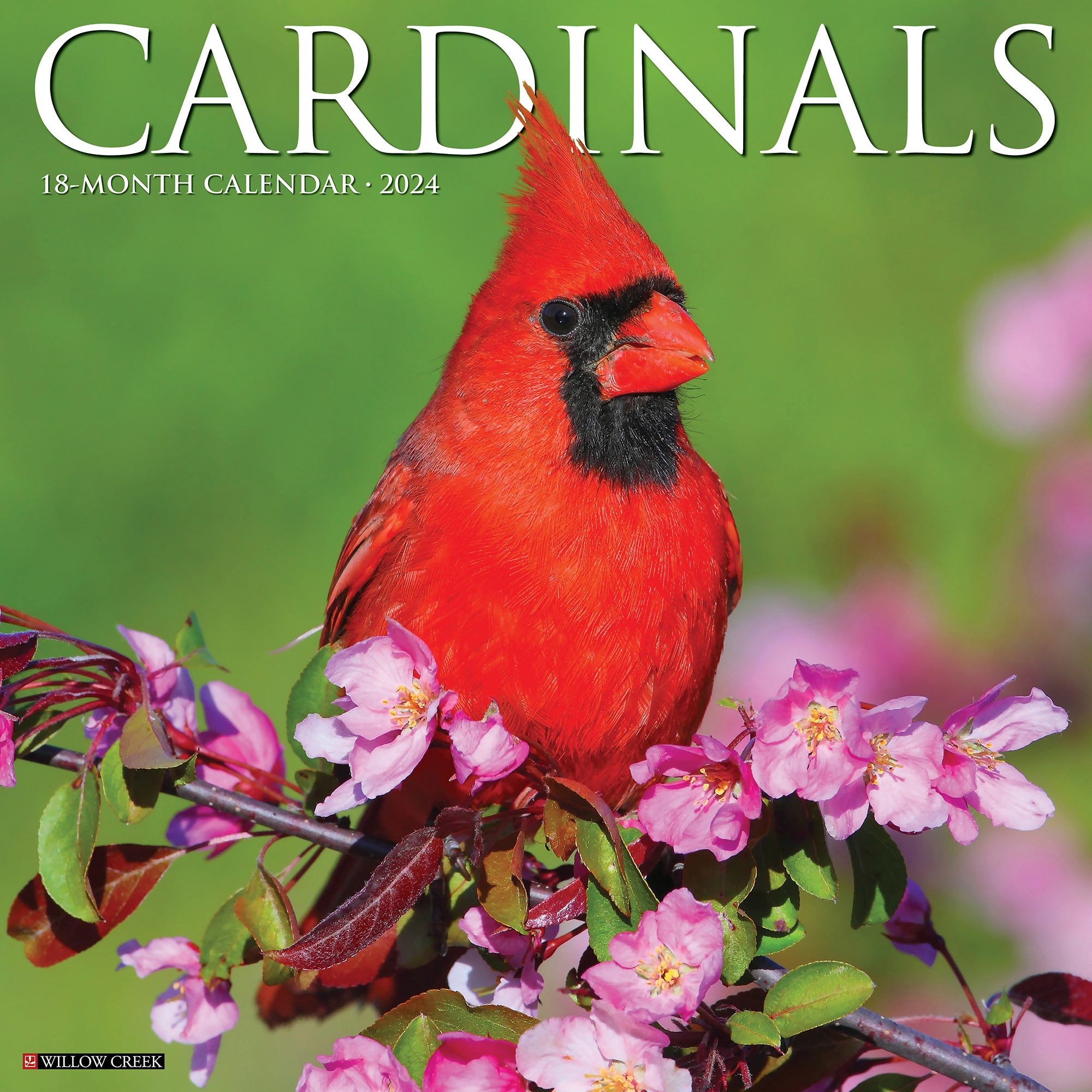 Willow Creek Press Cardinals 2024 Wall Calendar, 12" L X 12" W, Large