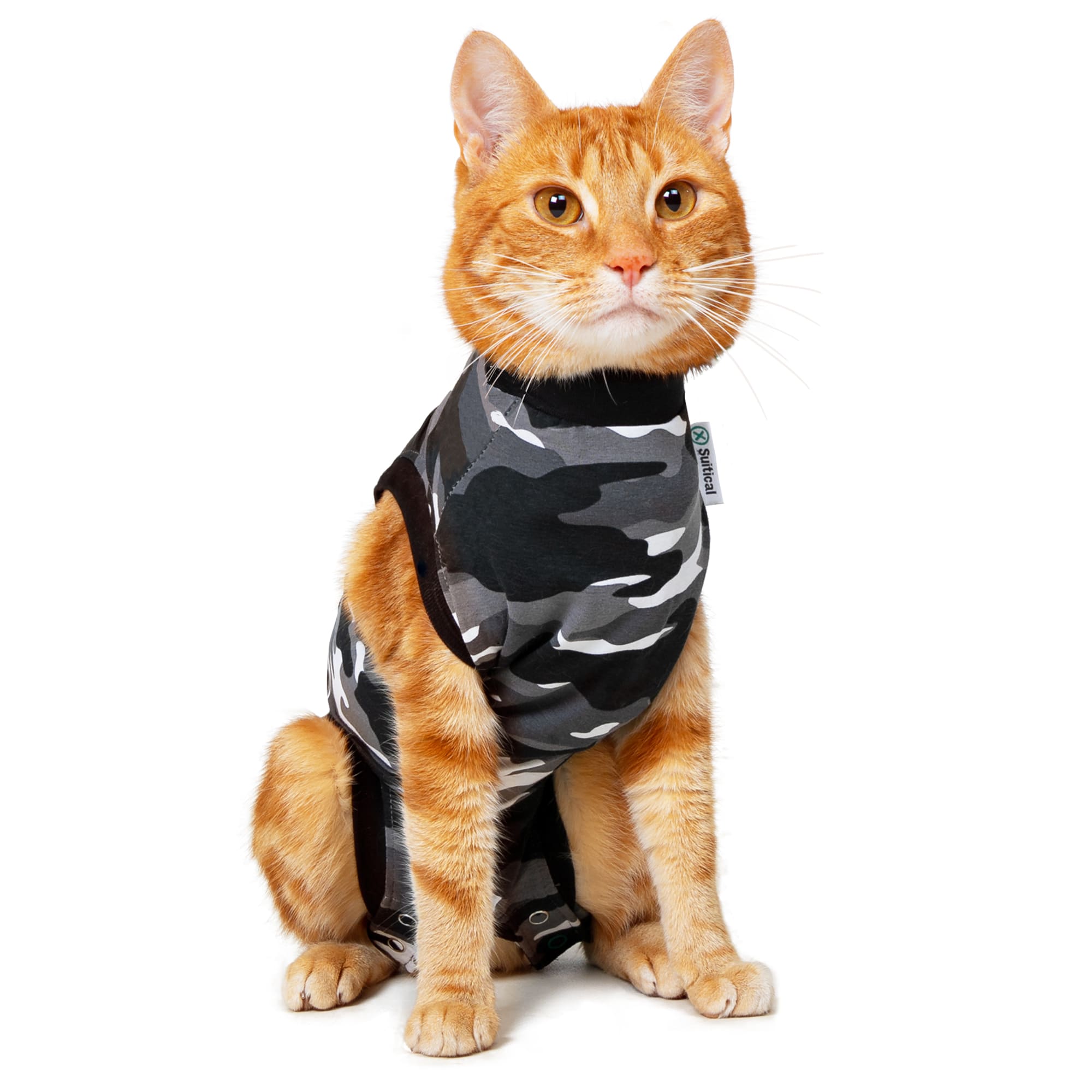 Kitten surgical 2024 recovery suit