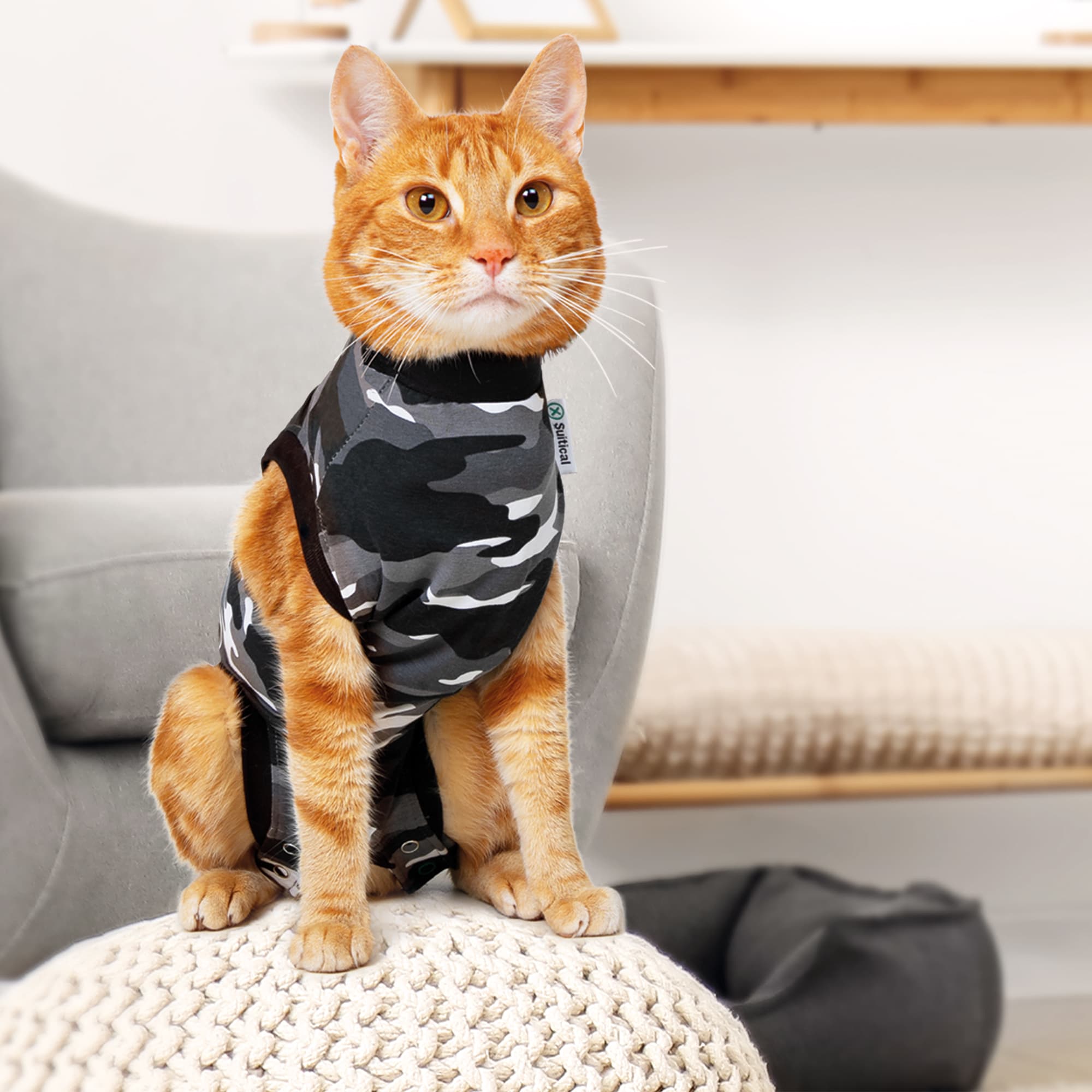 Cat surgical vest best sale