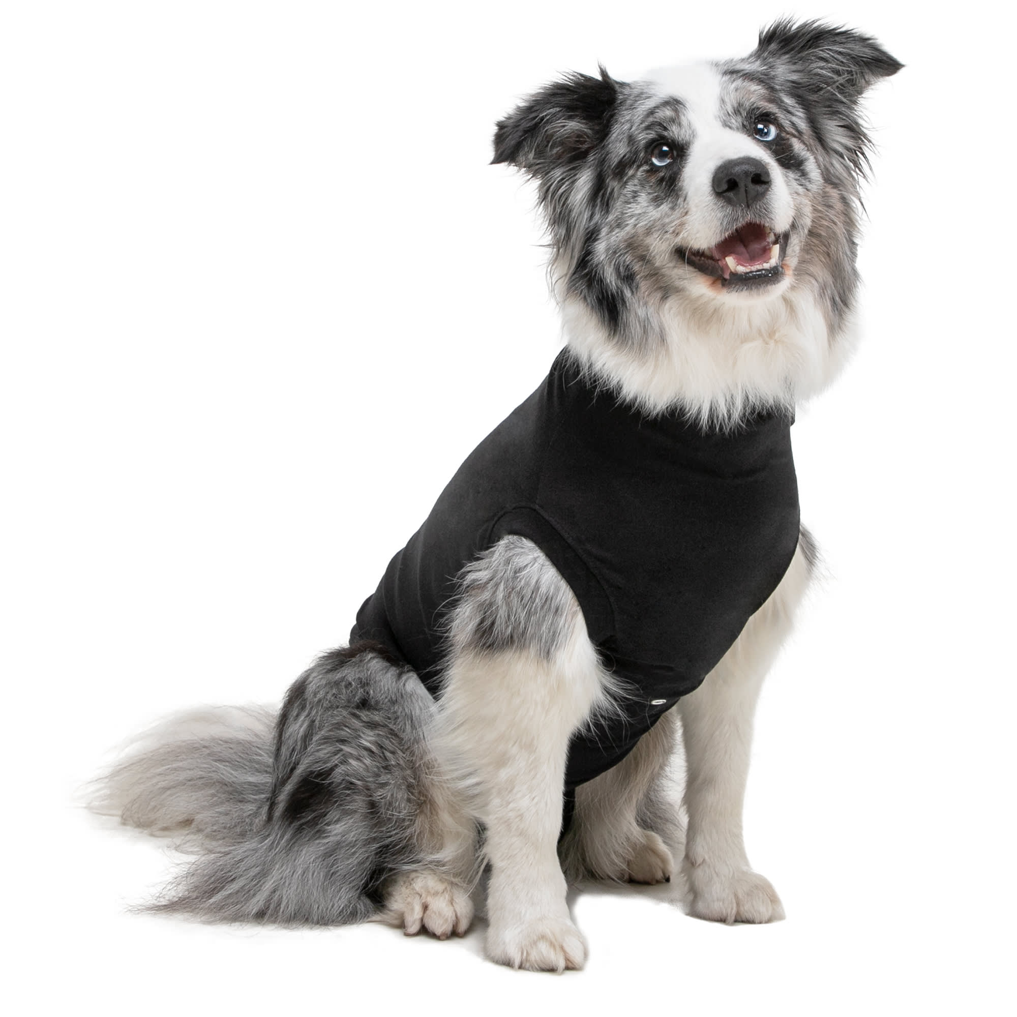 Suitical Recovery Suit for Dogs, X-Small, Black