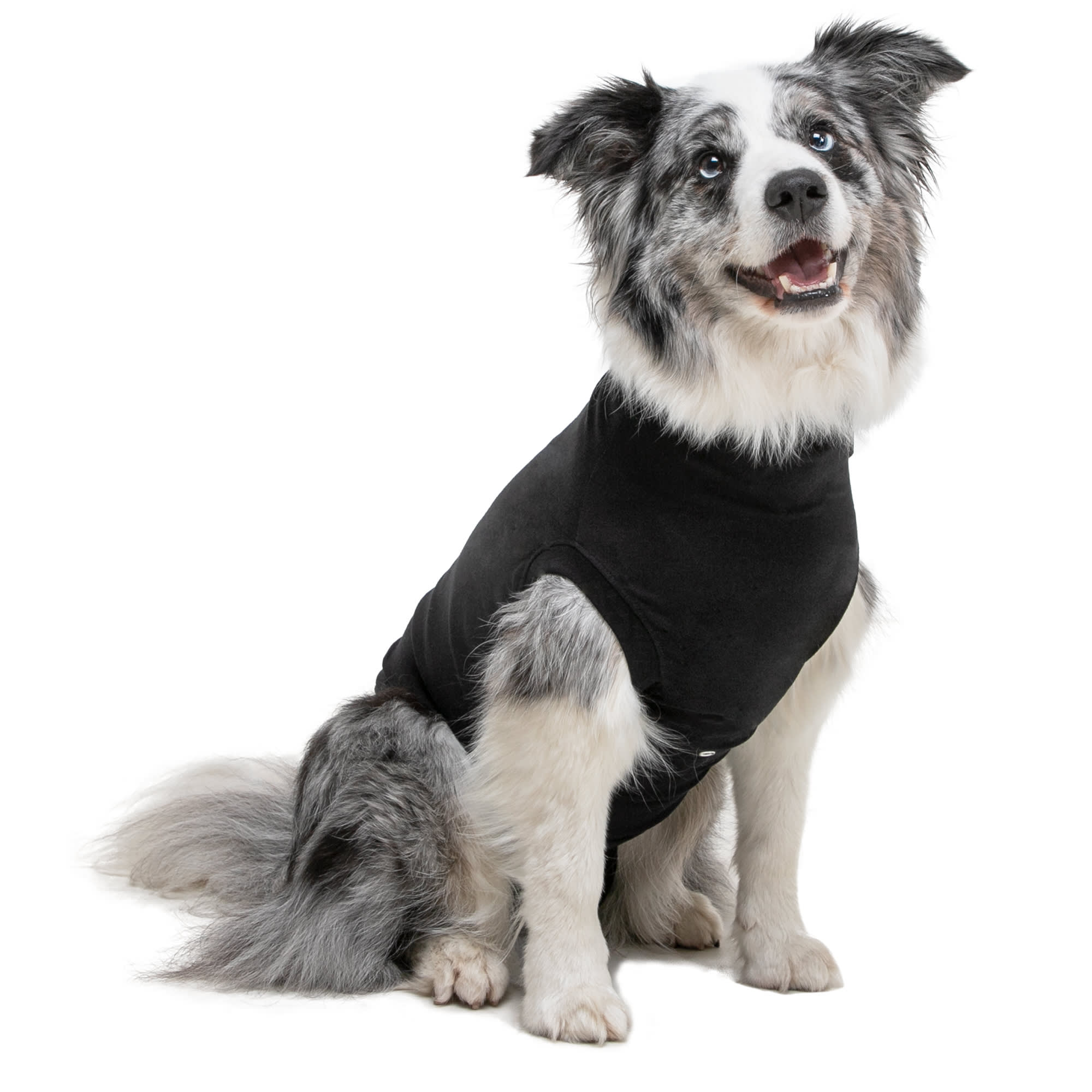 Petco dog cheap recovery suit