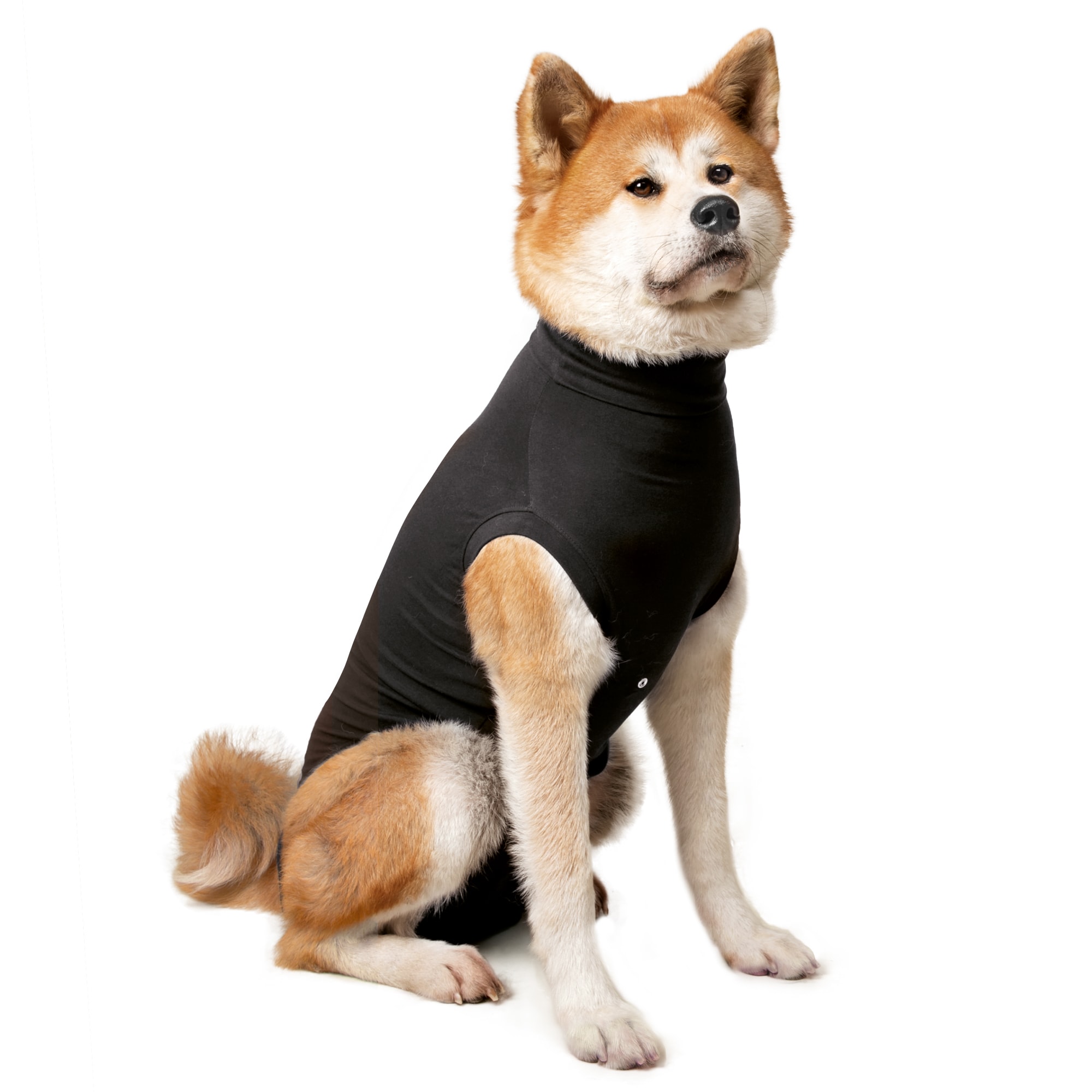 Suitical Recovery Suit for Dogs, X-Small, Black