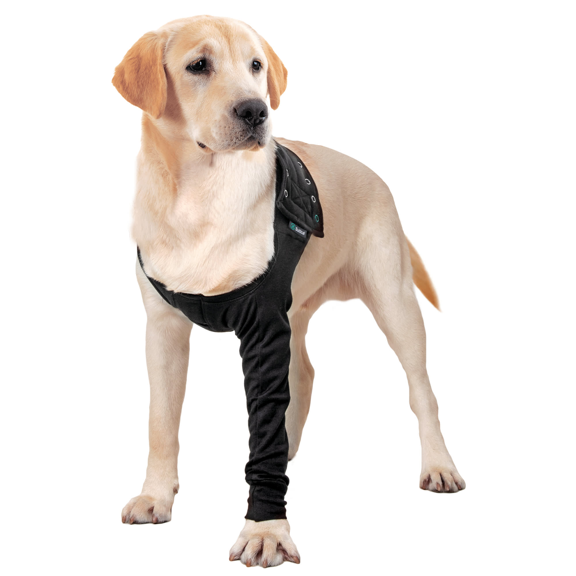 SUITICAL RECOVERY SUIT DOG BLACK MED