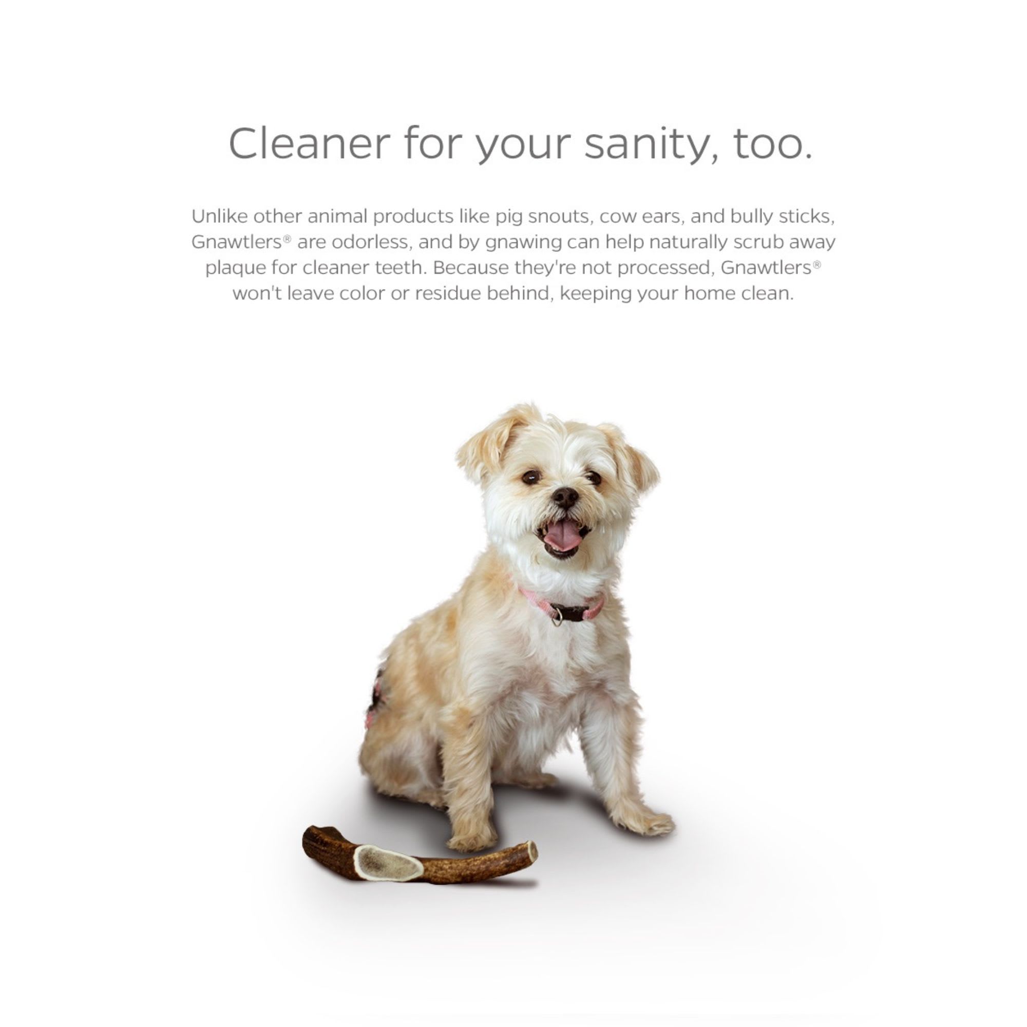 Pet Parents Small Elk Antler Dog Chews Dental Health