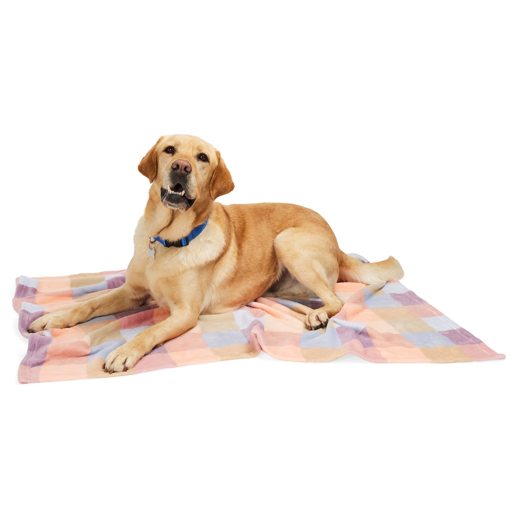 Petco dog blankets best sale