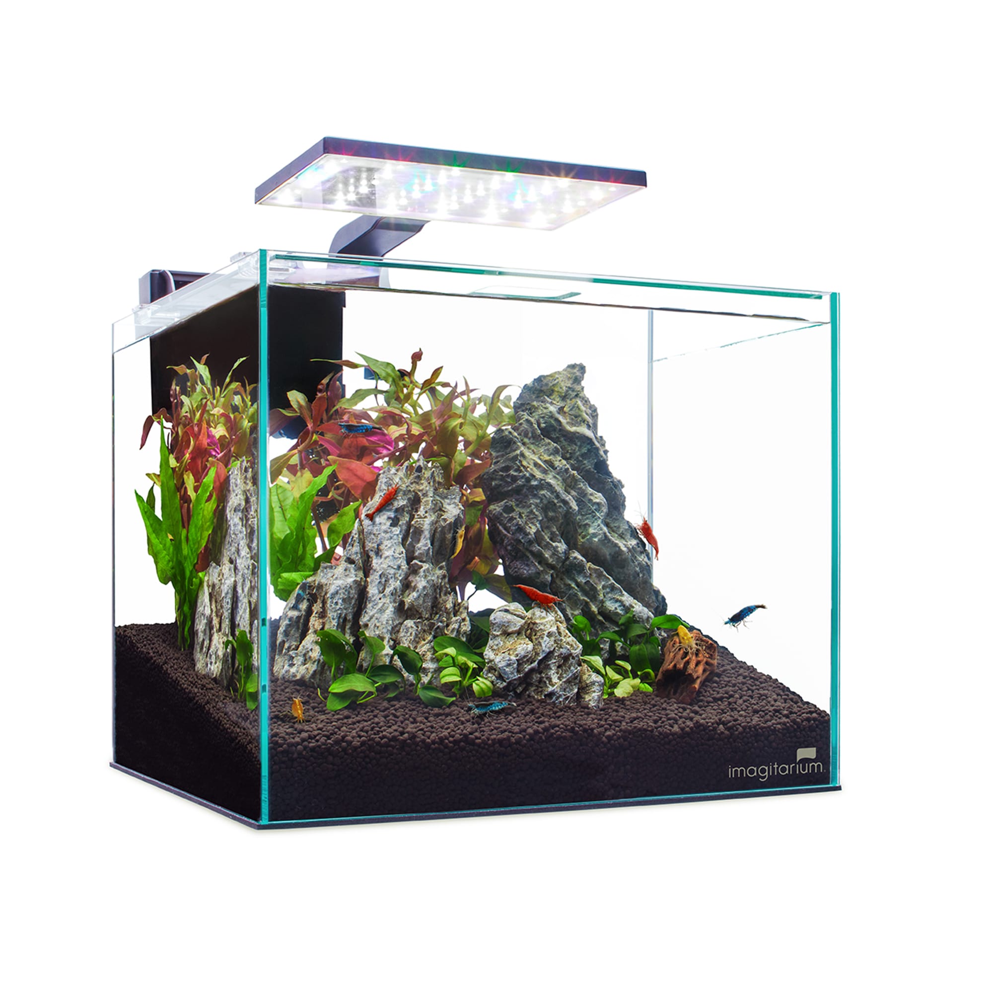 Imagitarium Glass Shrimp & Aquatic Plants Aquarium, 5 Gallons | Petco