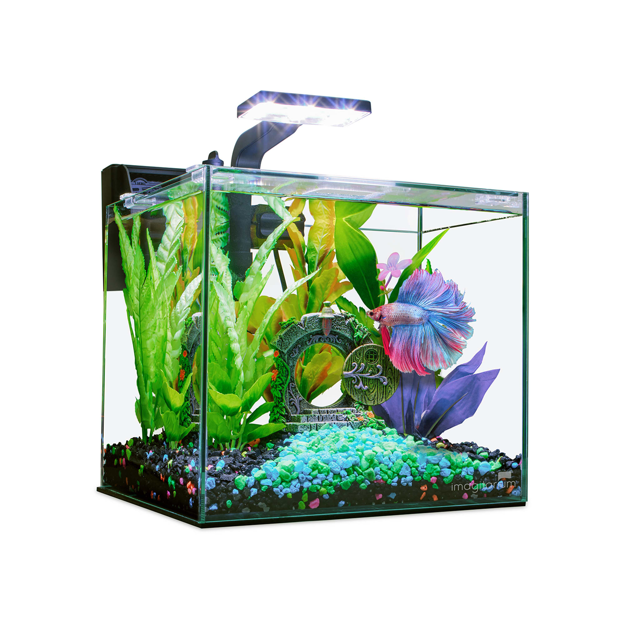 Aqueon Frameless Cube Aquarium 1 Gallon Petco