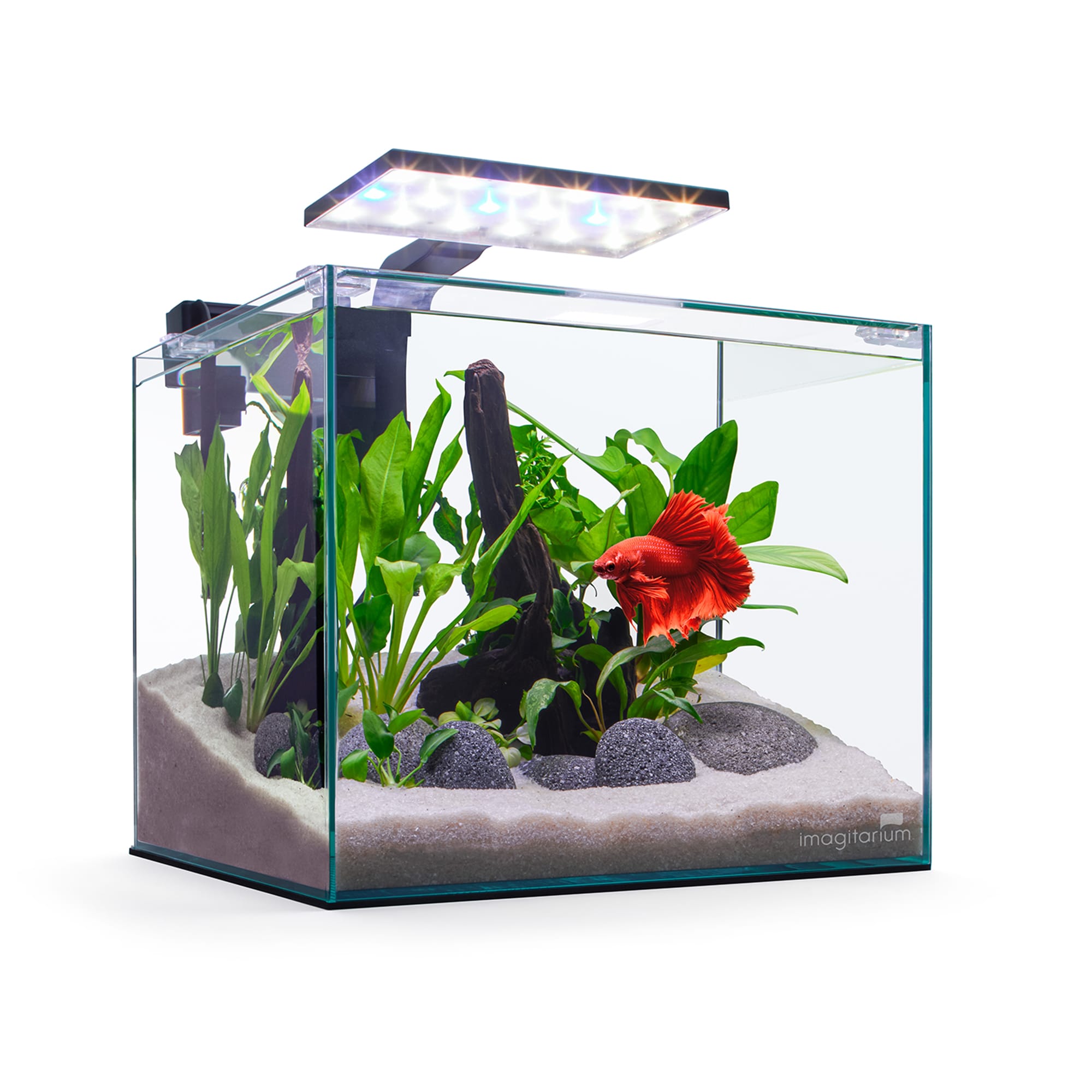 Imagitarium Glass Betta Aquarium Kit 5 Gallons