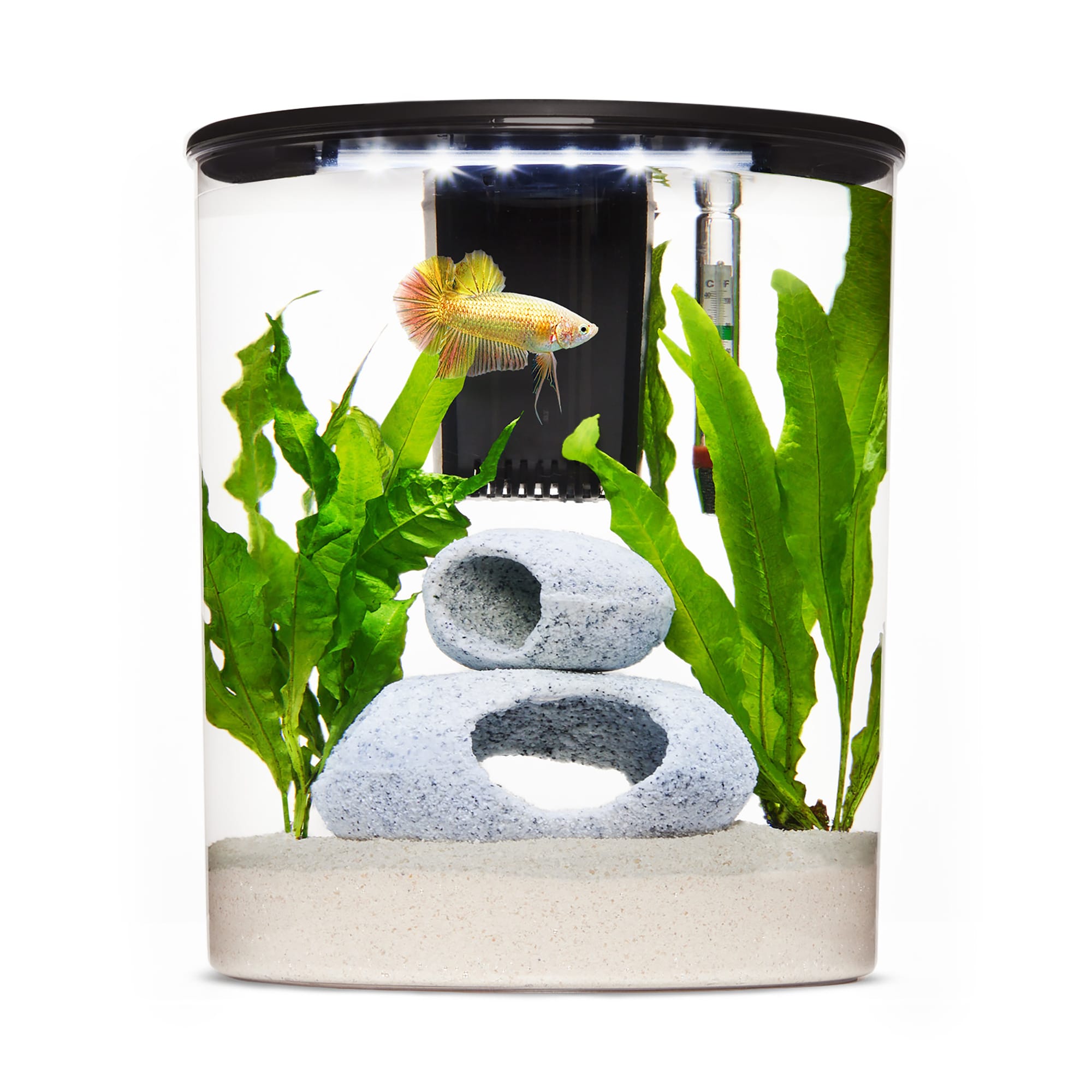 Imagitarium Plastic Half Moon Betta Aquarium 2.5 Gallon Petco