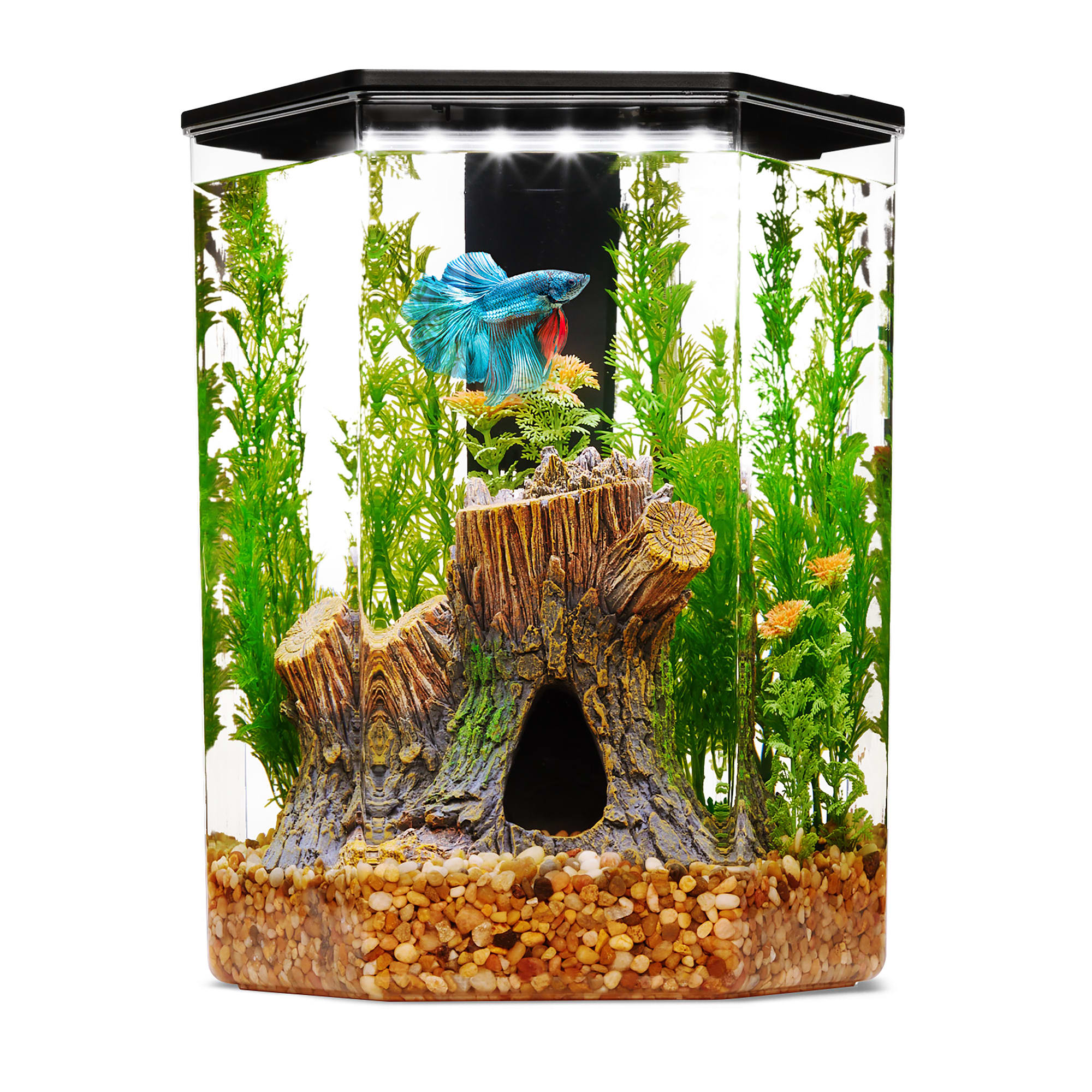 Imagitarium 2.5 Gallon Hexagon Betta Tank LED Light