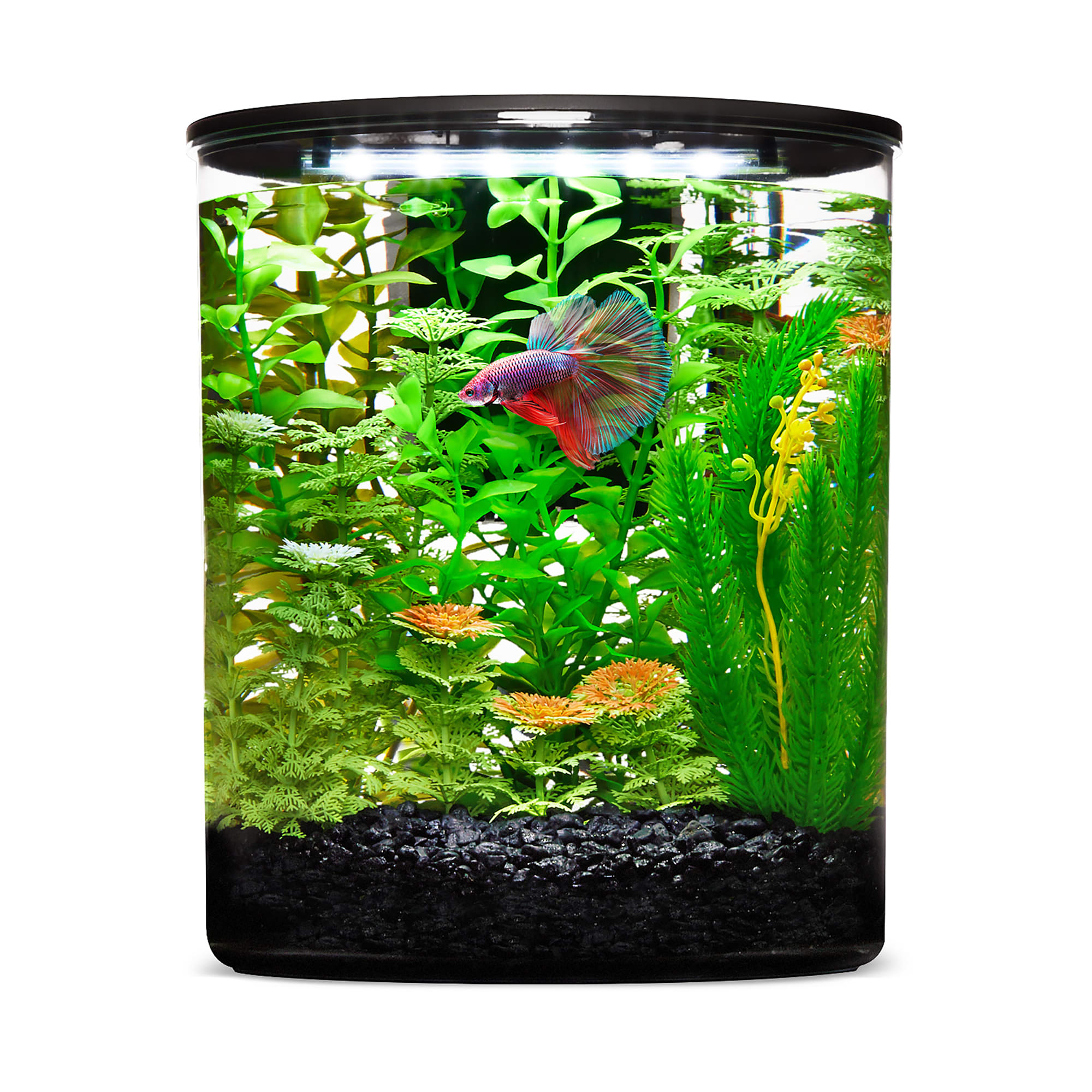 Imagitarium 2.5 Gal Cylinder Betta Tank with LED Filter