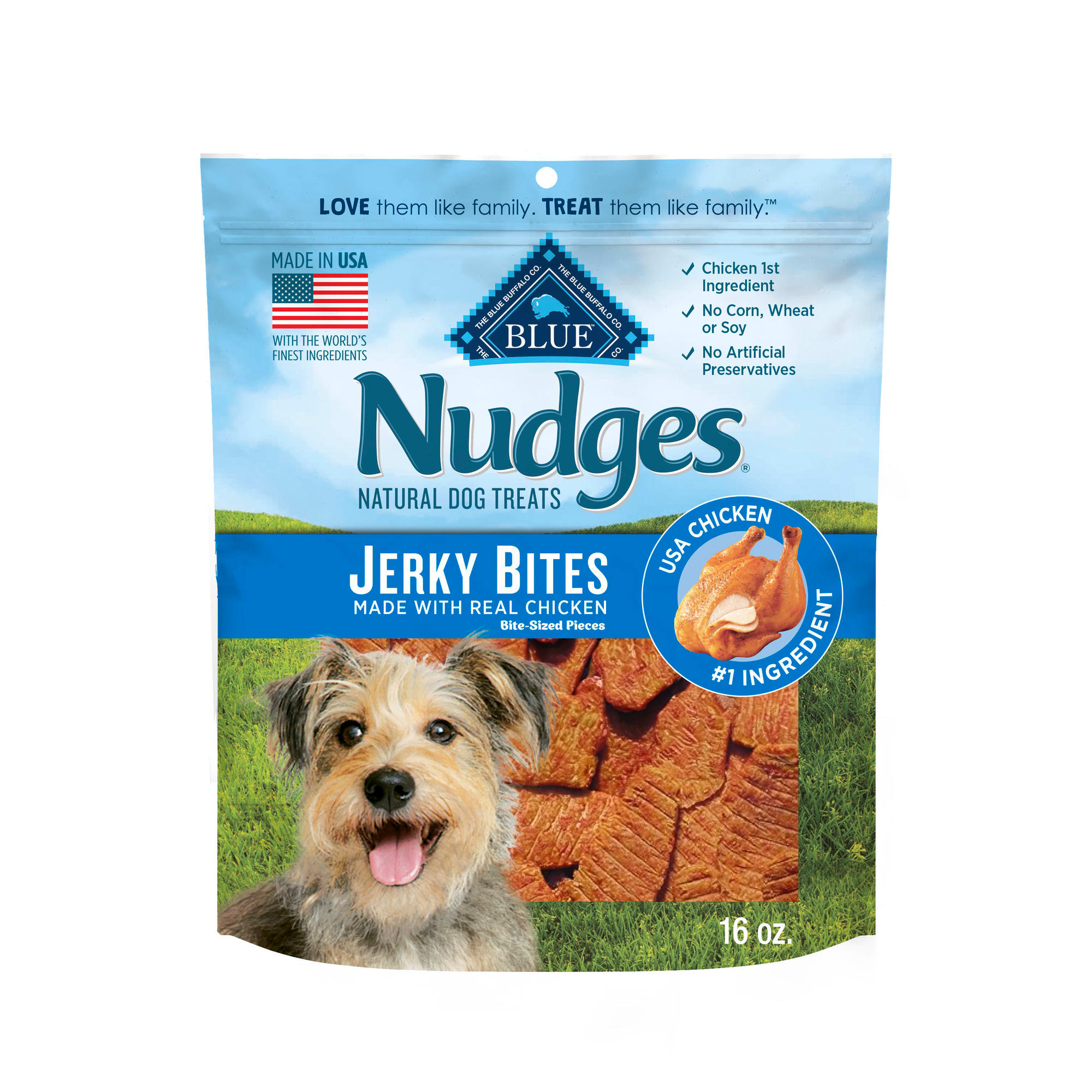 Blue Buffalo Nudges Jerky Bites Made with Real Chicken Natural Dog Treats 16 oz. Petco