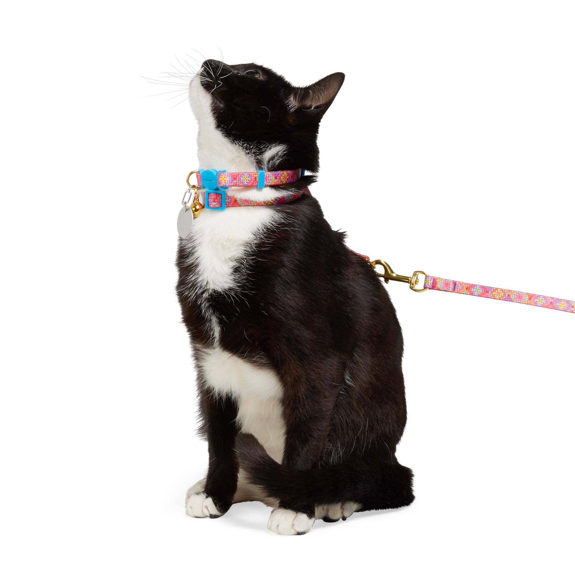 YOULY Small/Medium Pink Floral Cat Harness, Collar & Leash Set